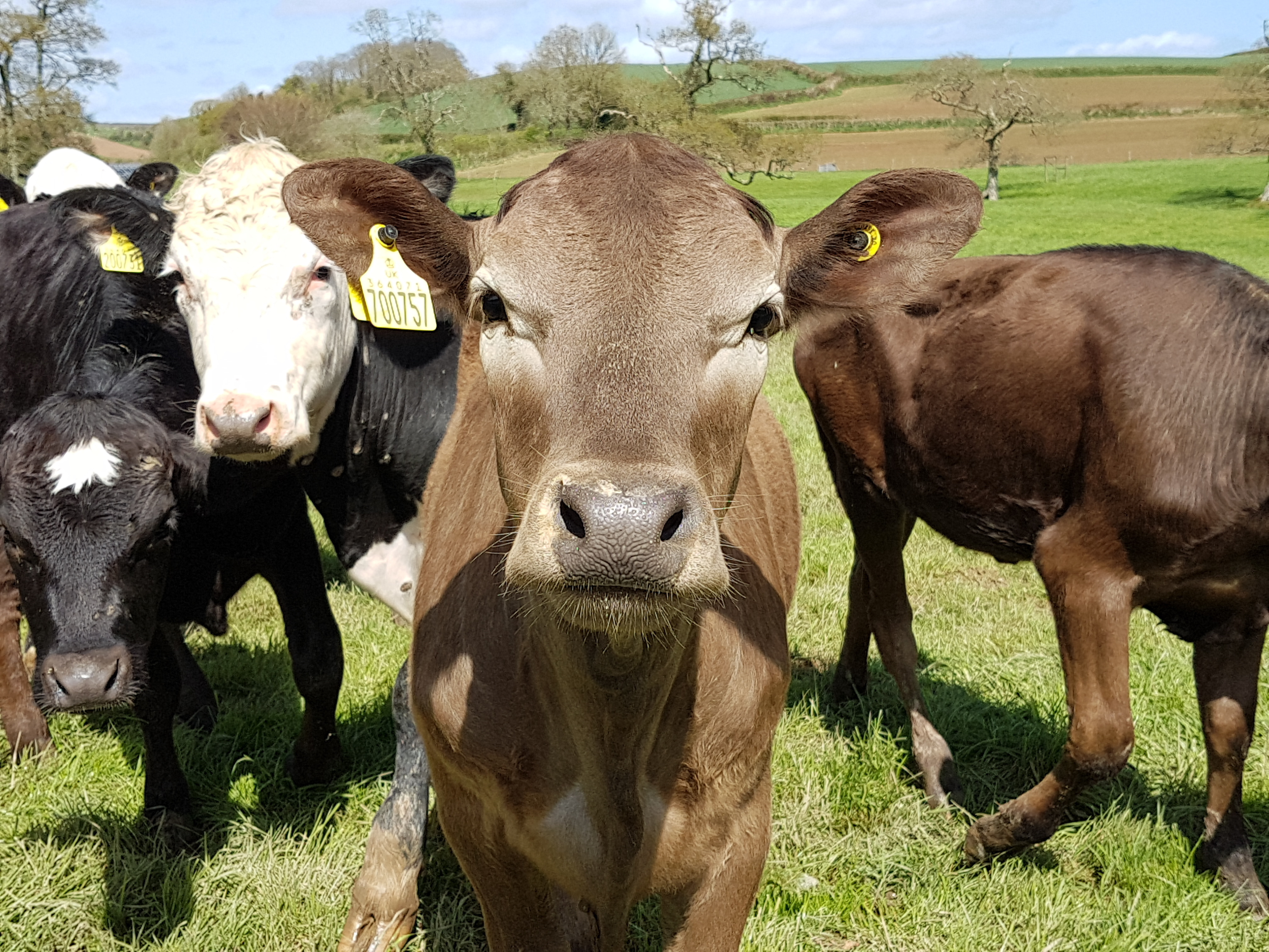 Property image 32 for THC4DECHA