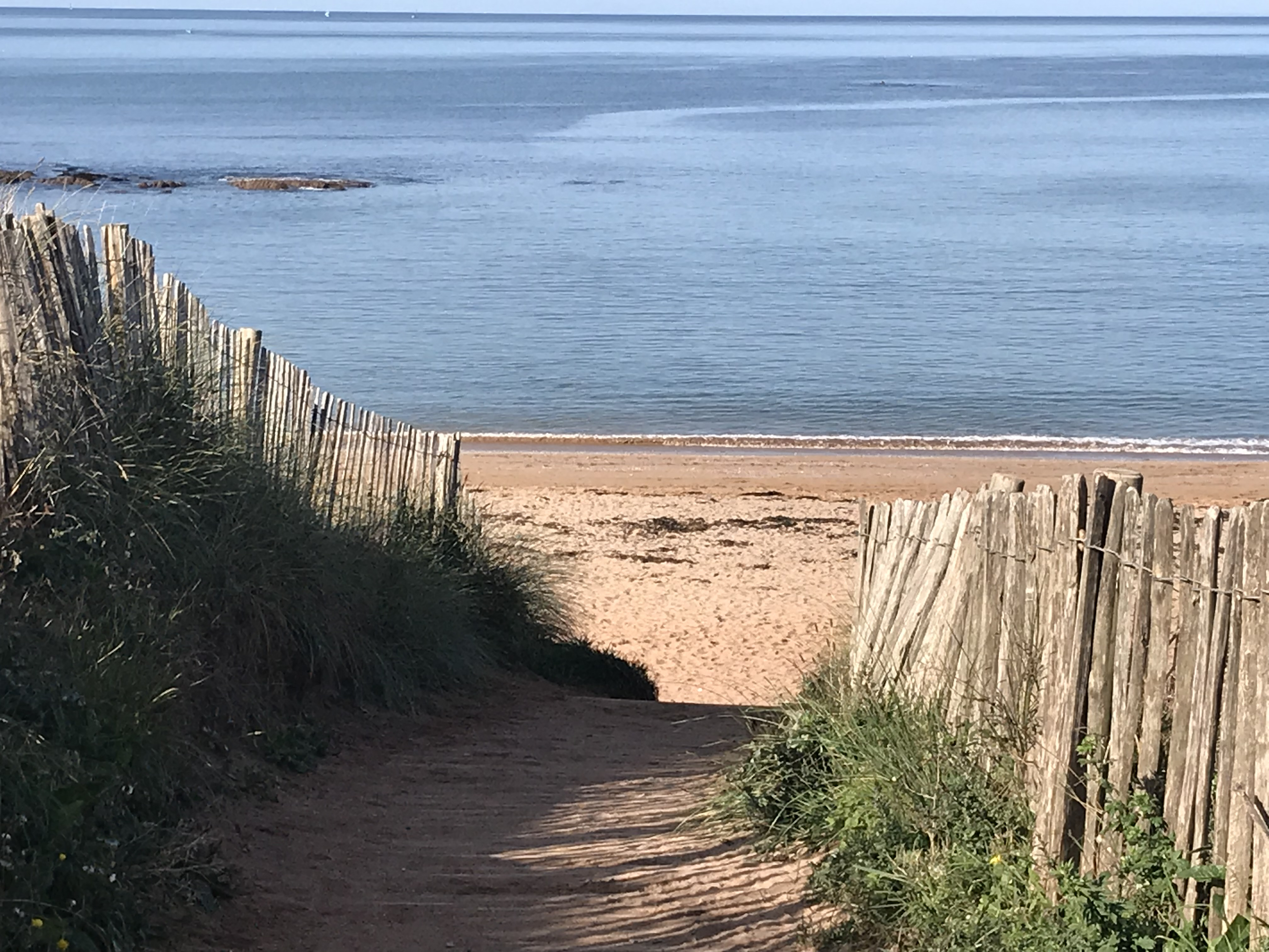 Property image 39 for THCROCKYS