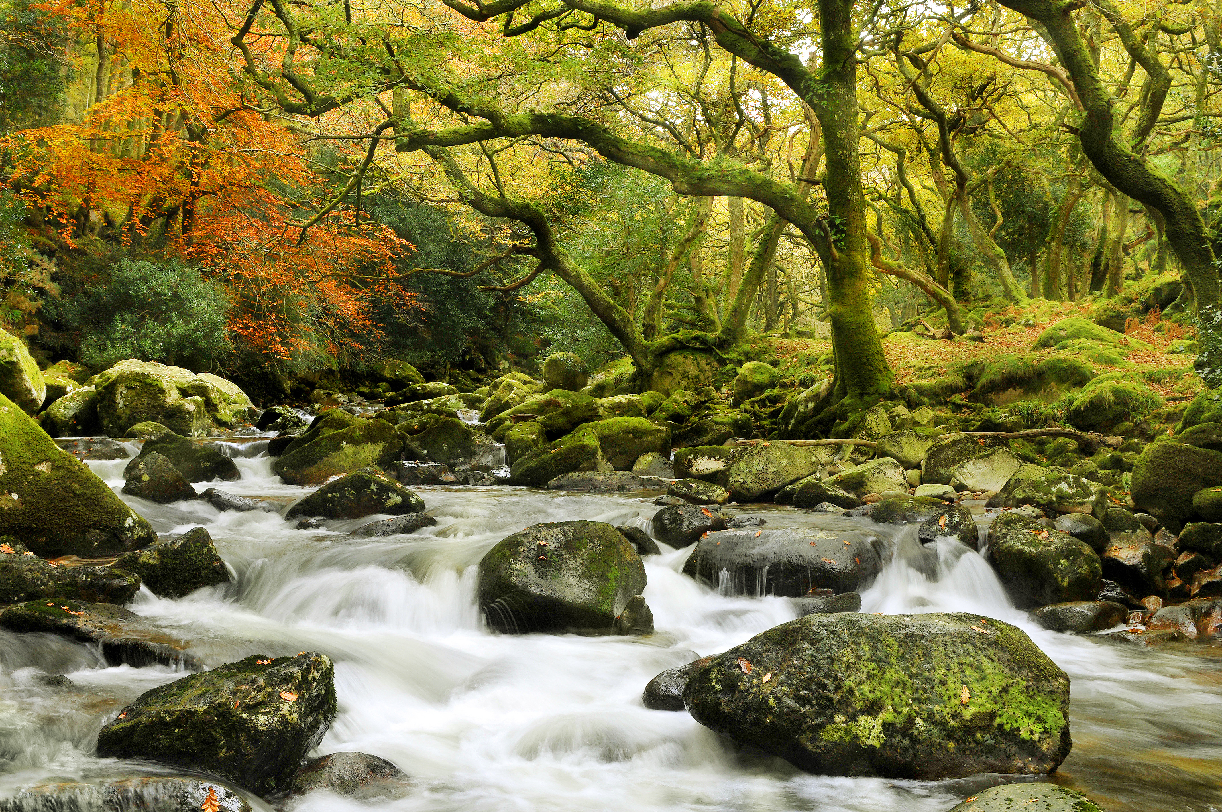 Property image 42 for THCRAYLAN