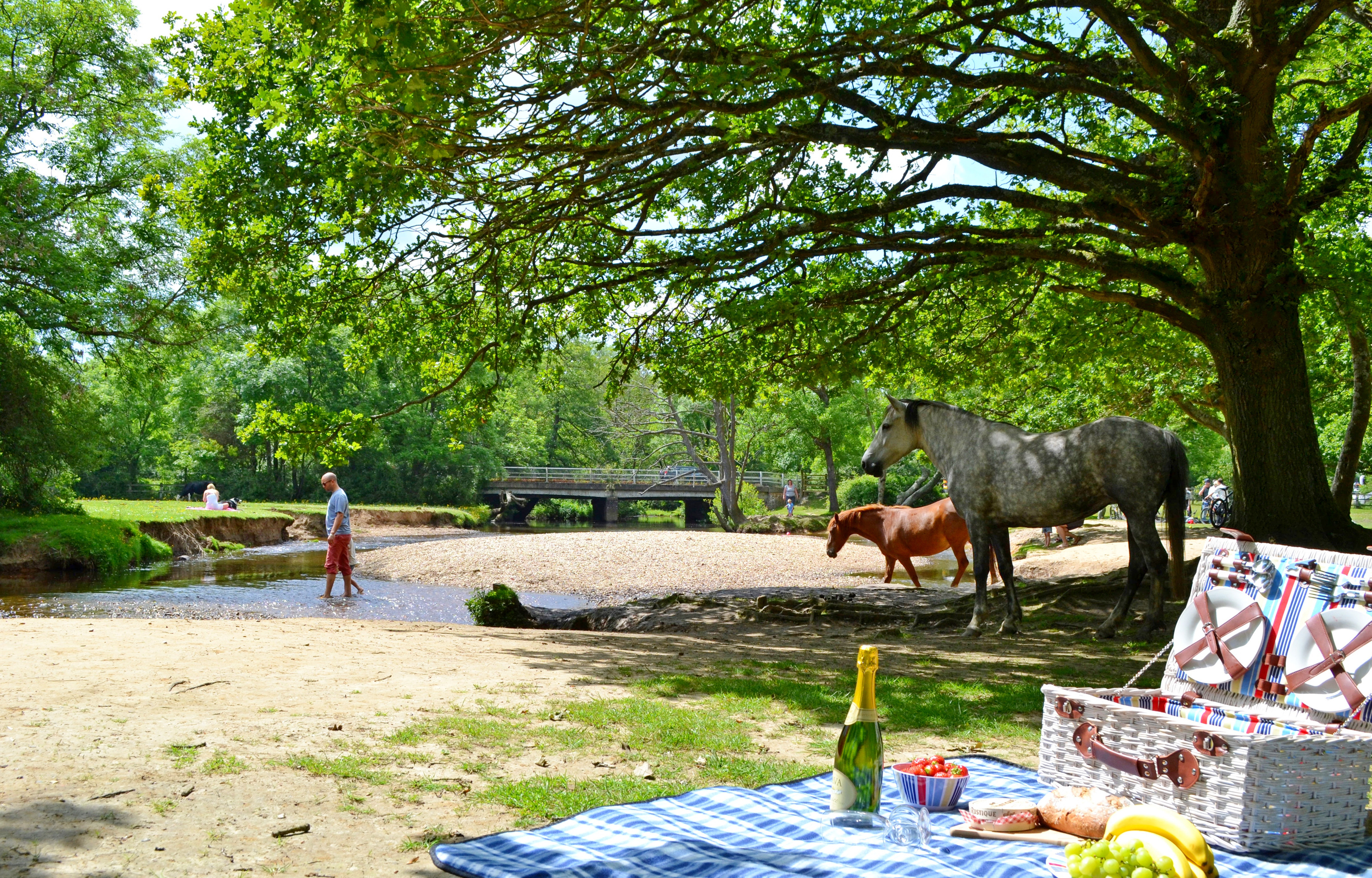 Property image 28 for THCB314