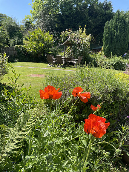 Property image 25 for THCPEEL