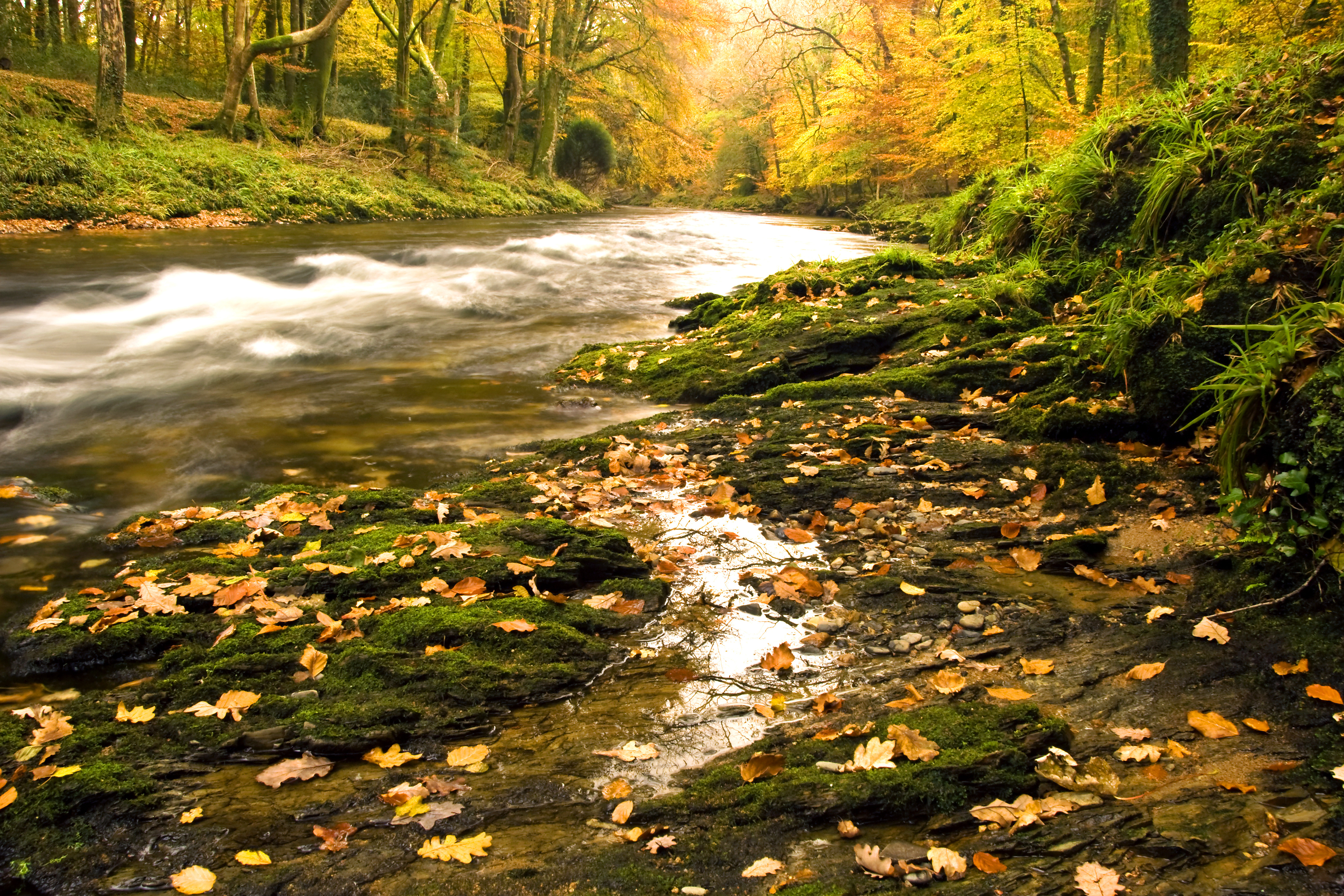 Property image 39 for THCRAYLAN