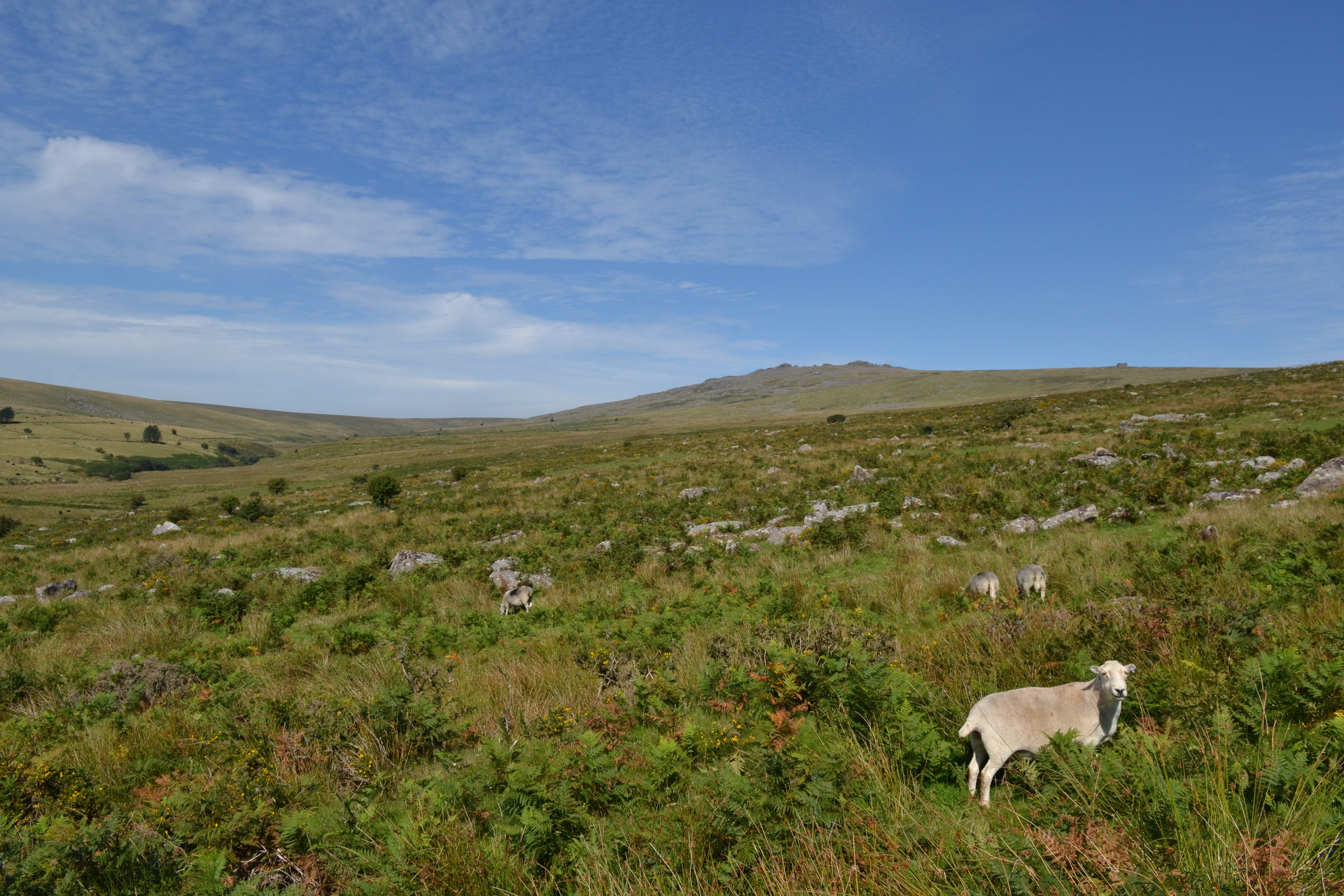 The hills at Merrivale.