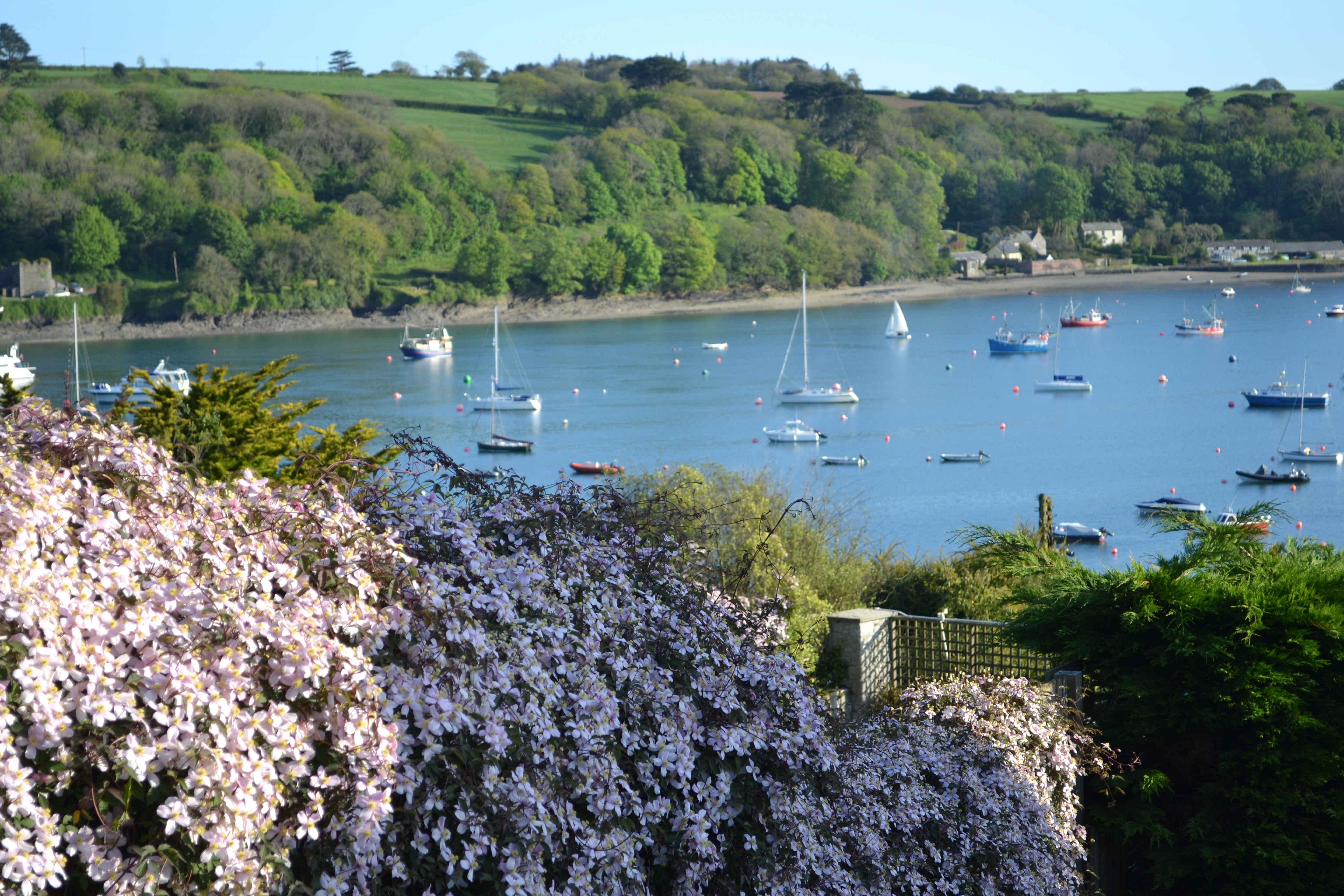 Helford Passage in the spring.
