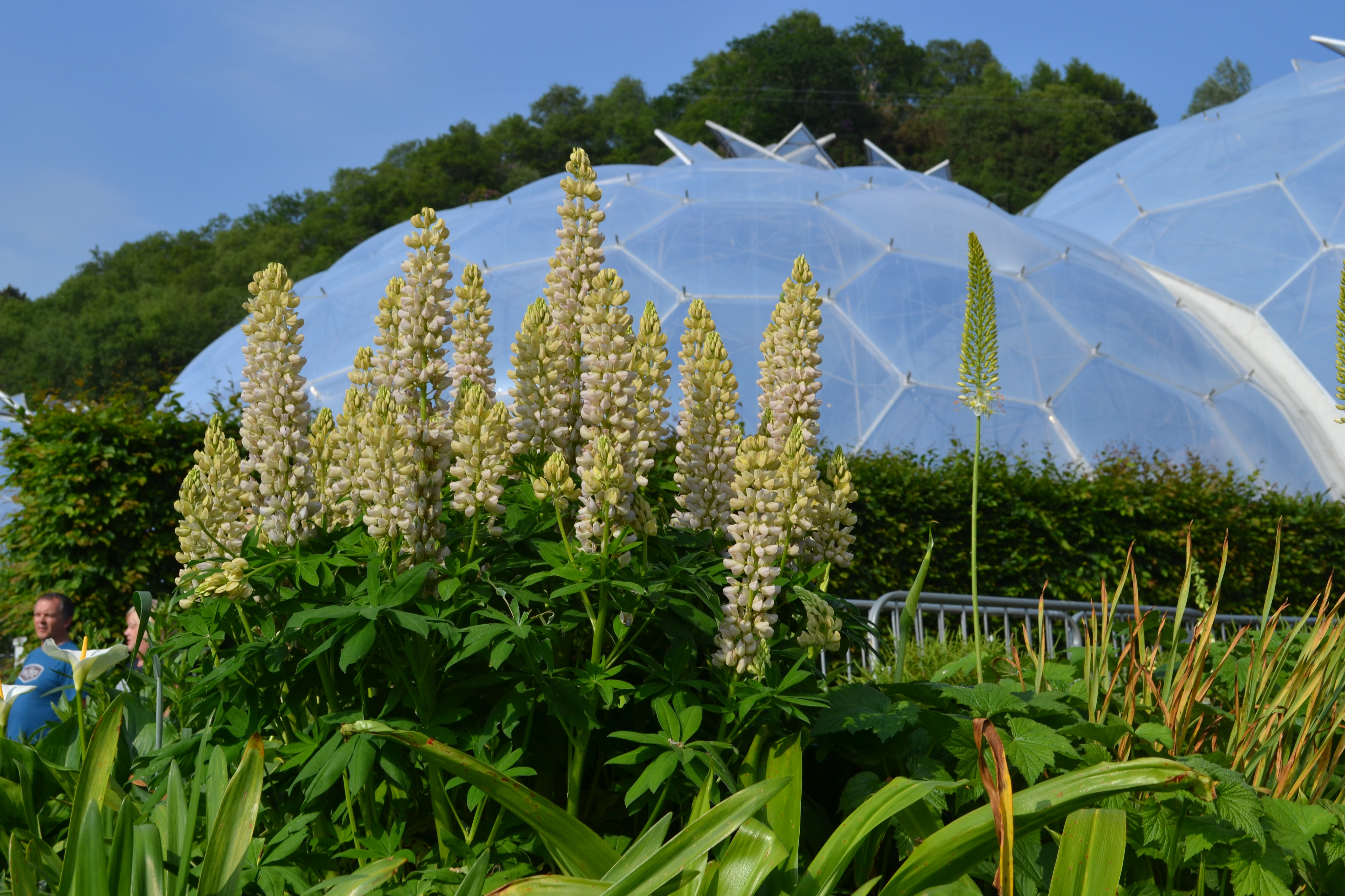 The Amazing Eden Project is about an hour away.