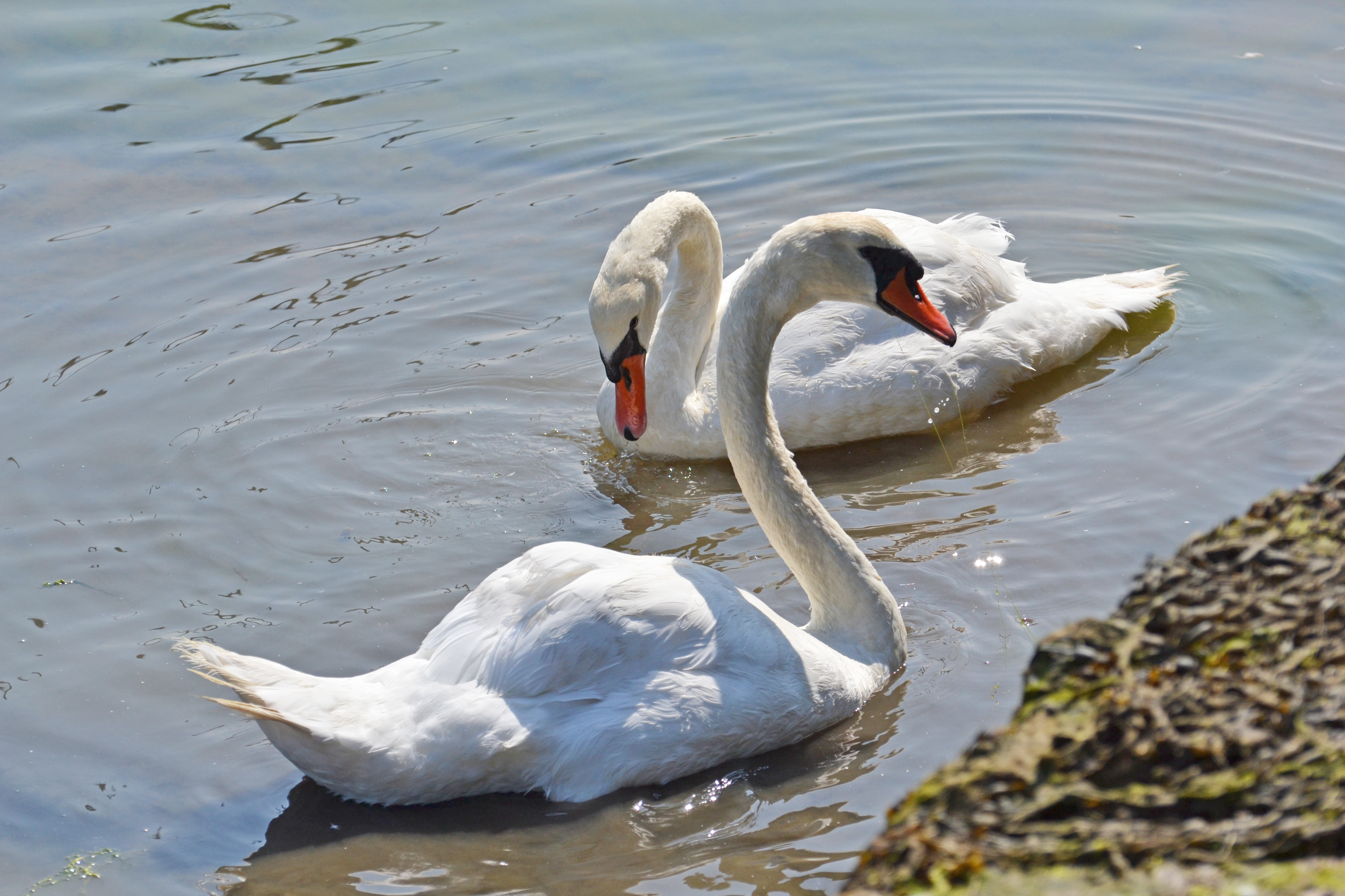 Property image 30 for THCB257