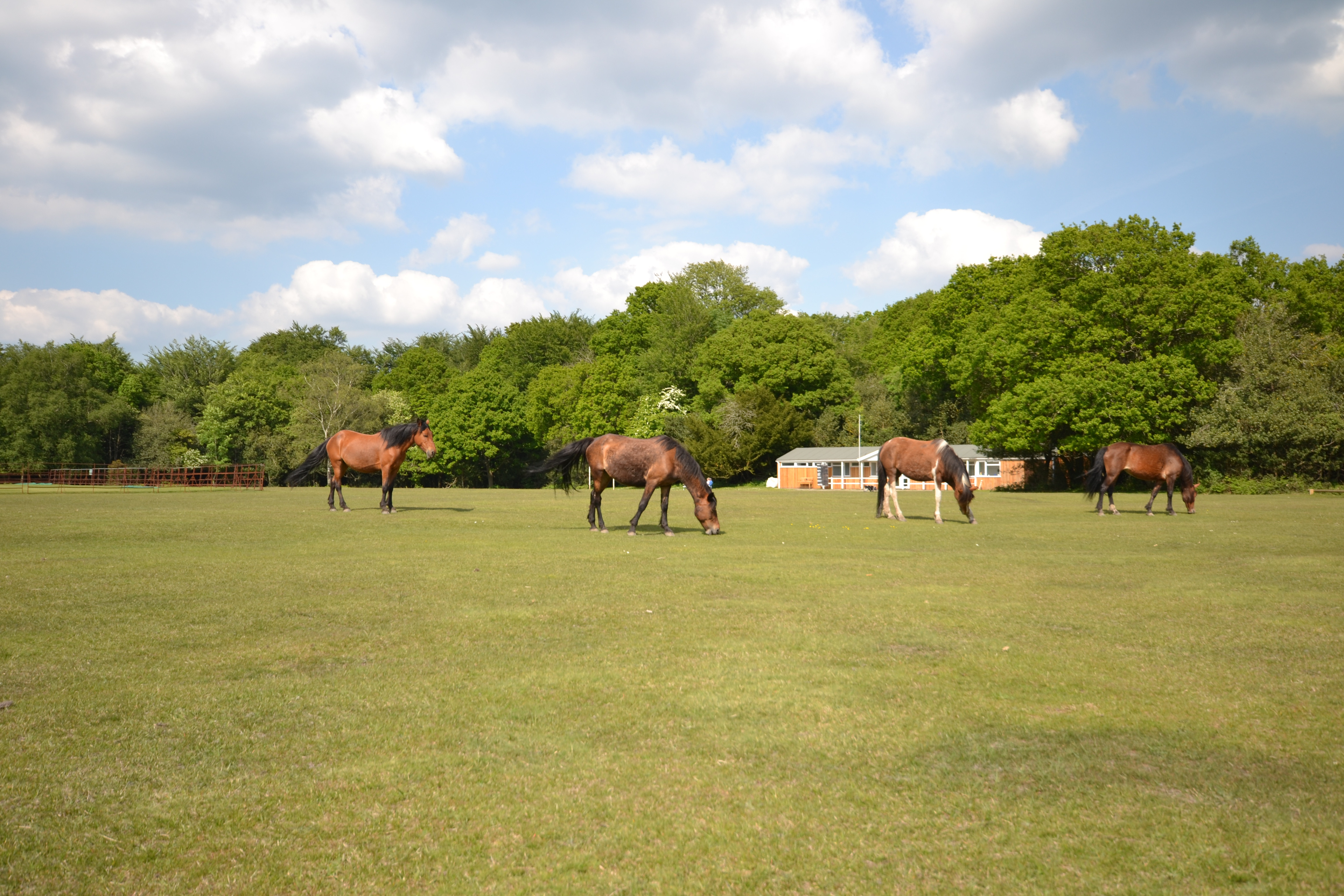 Property image 42 for THCA732