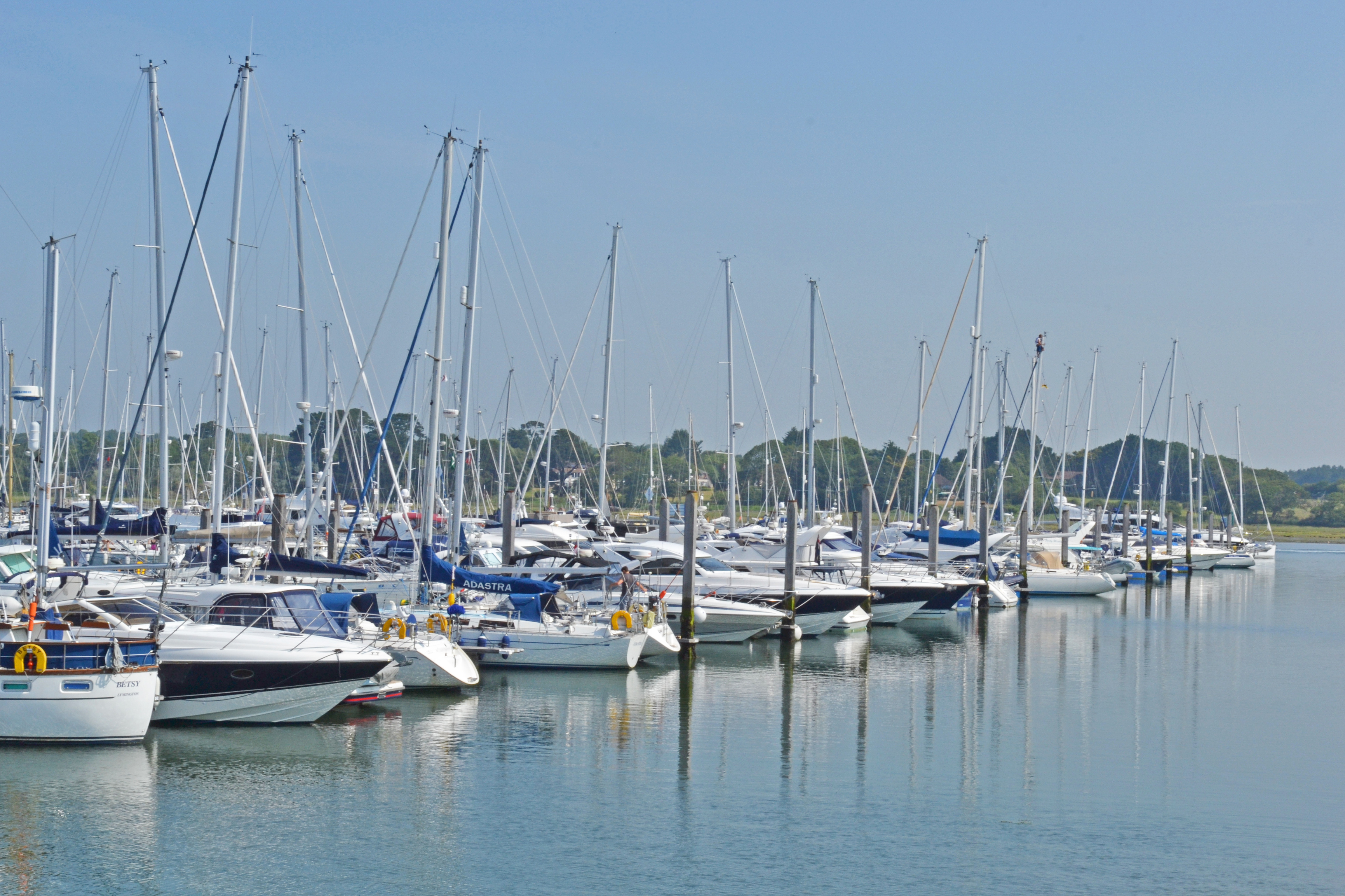 Property image 42 for THCB270