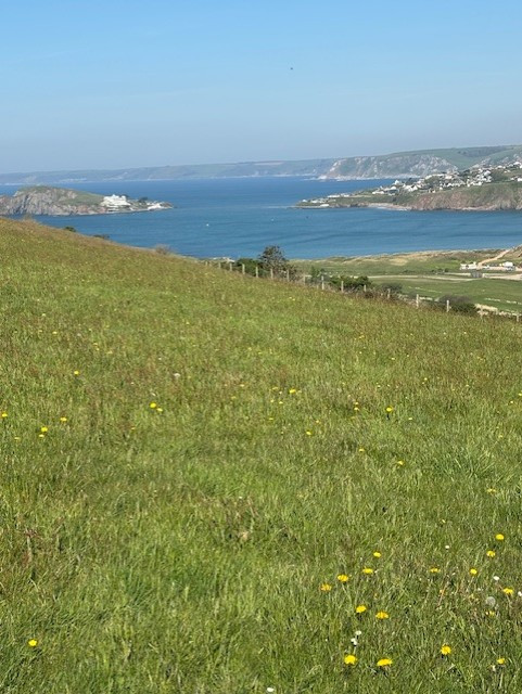 Property image 42 for THCROCKYS