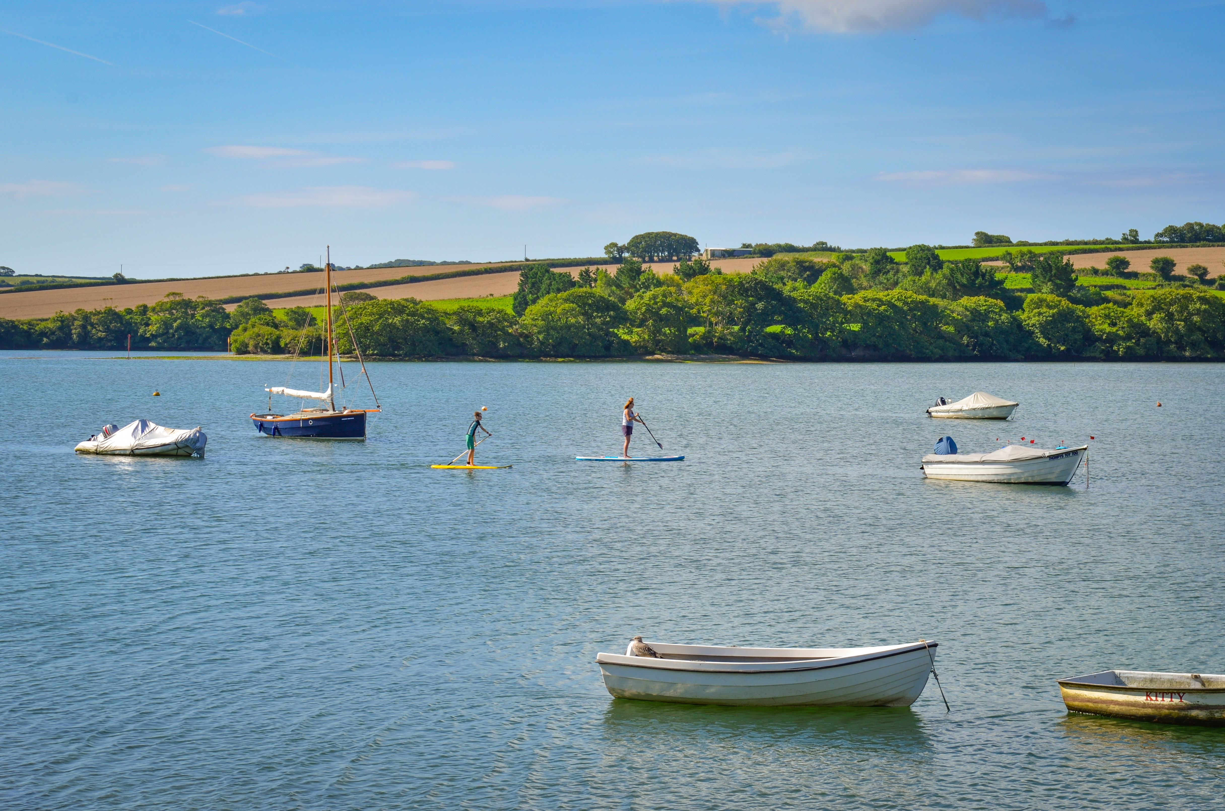The nearby estuary offers plenty of opportuntities for watersports, scenic walks and wildlife spotting.