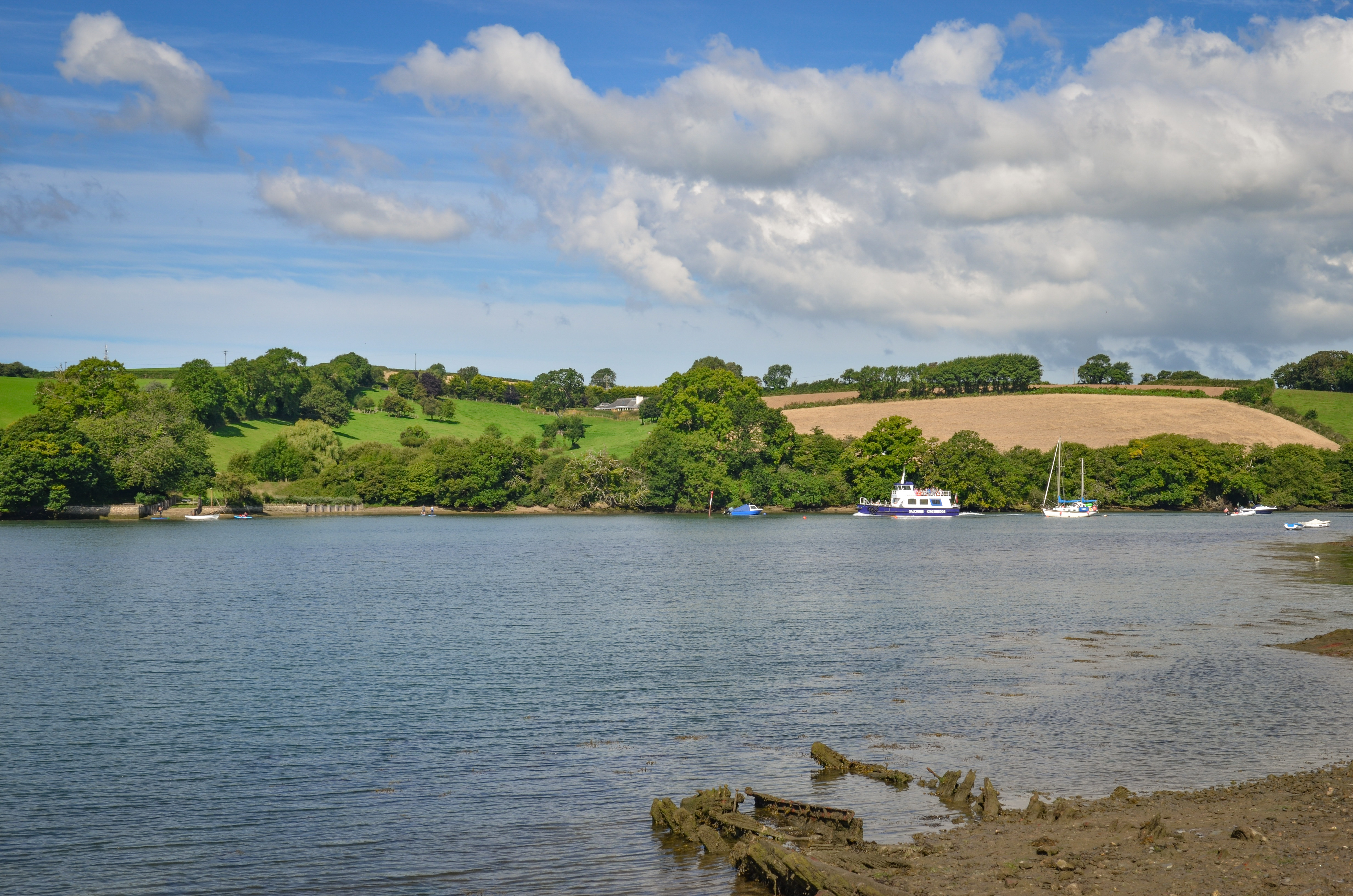 Kingsbridge estuary