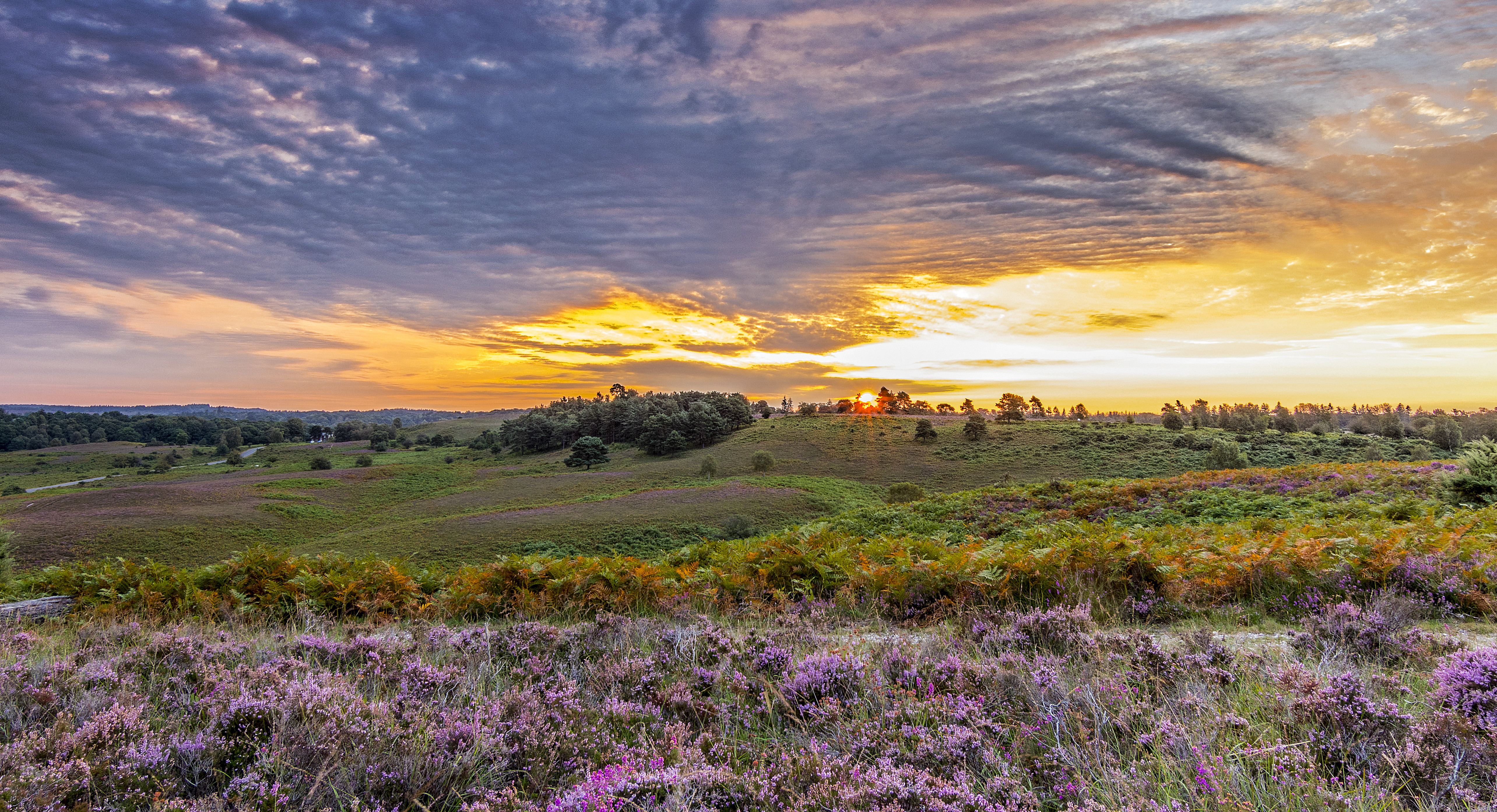 Property image 26 for THCB314