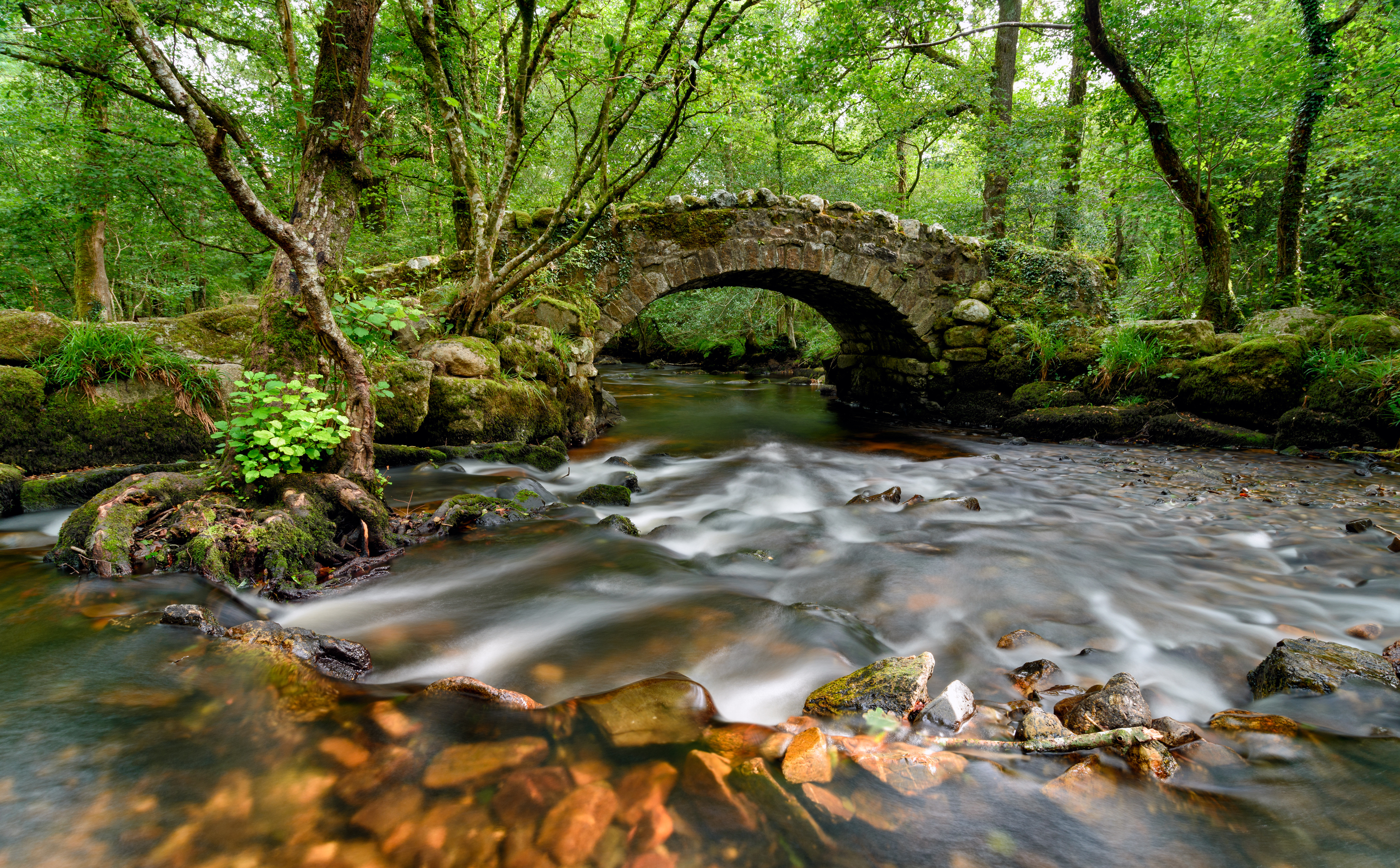 The River Bovey running through Hisley Woods within the Dartmoor National Park.