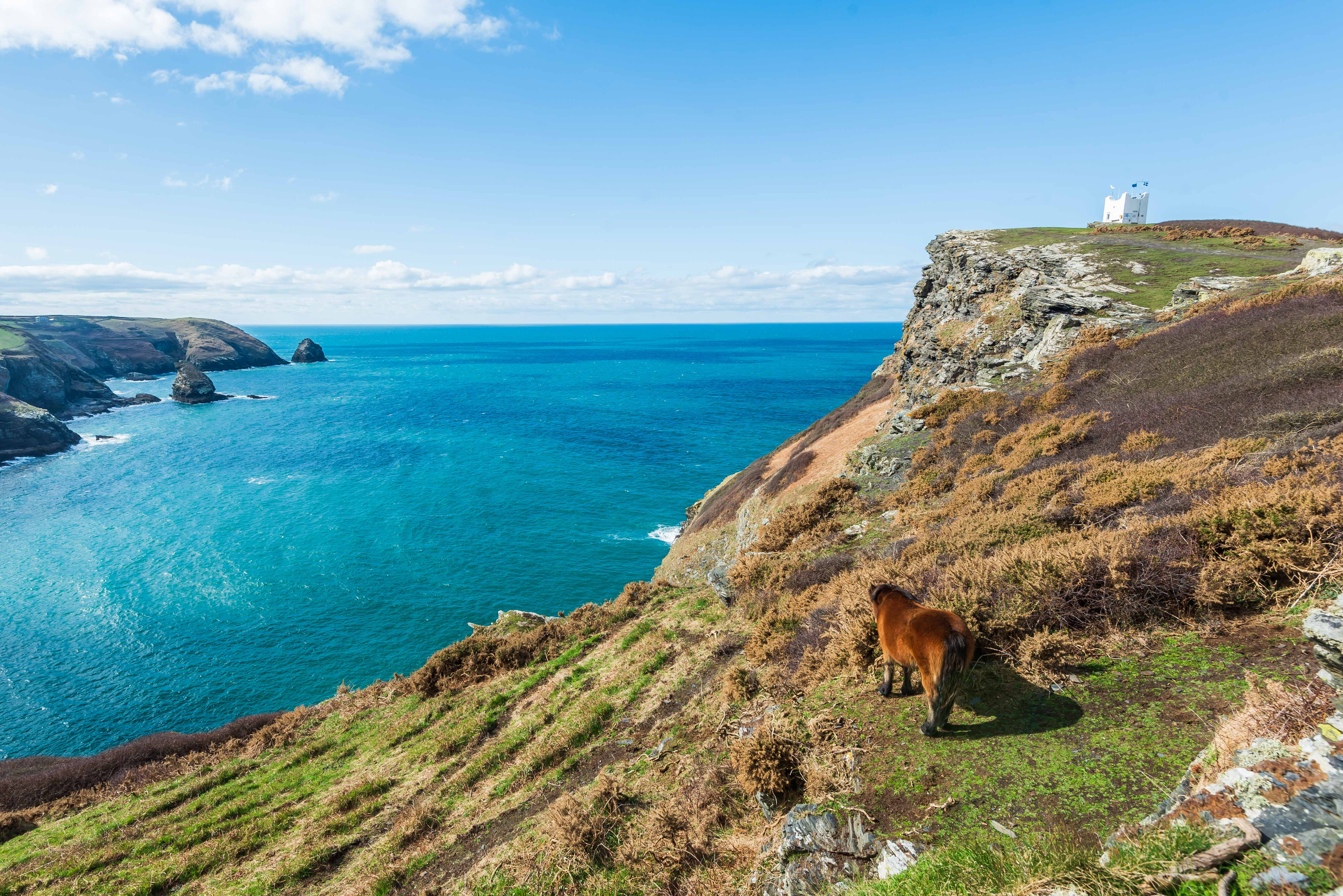 Property image 2 for THCWESTER