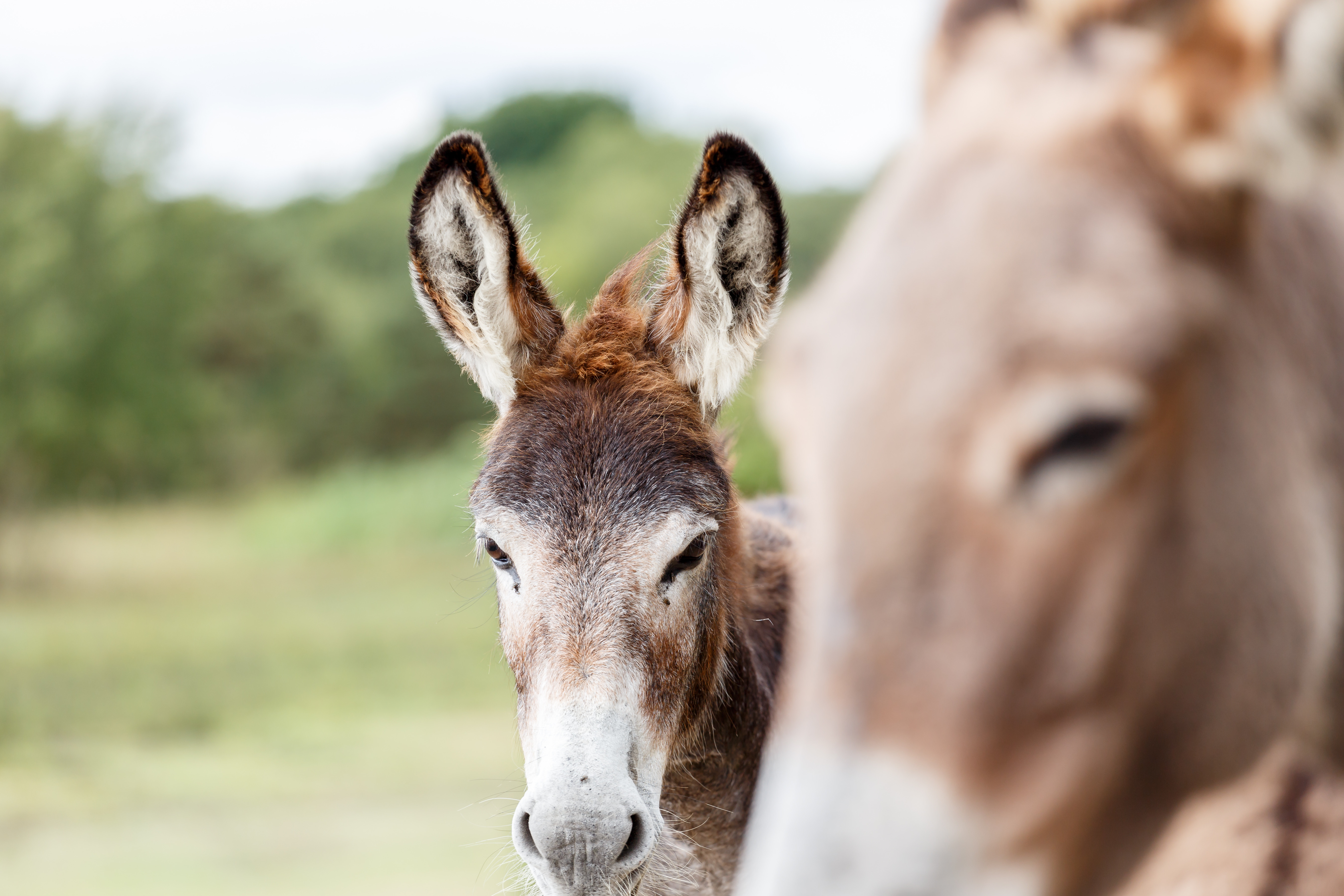 Property image 32 for THCA927