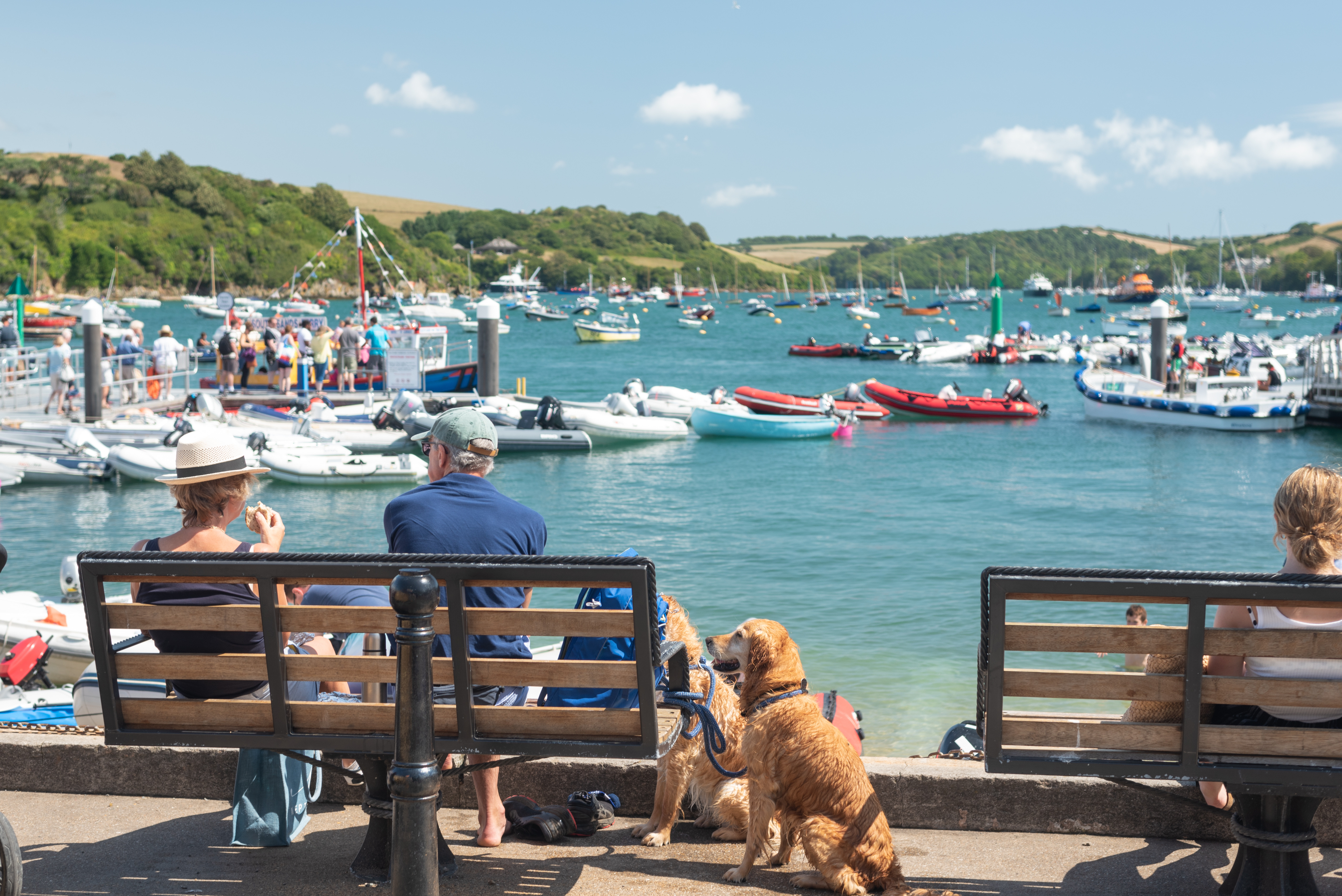 Salcombe Harbour