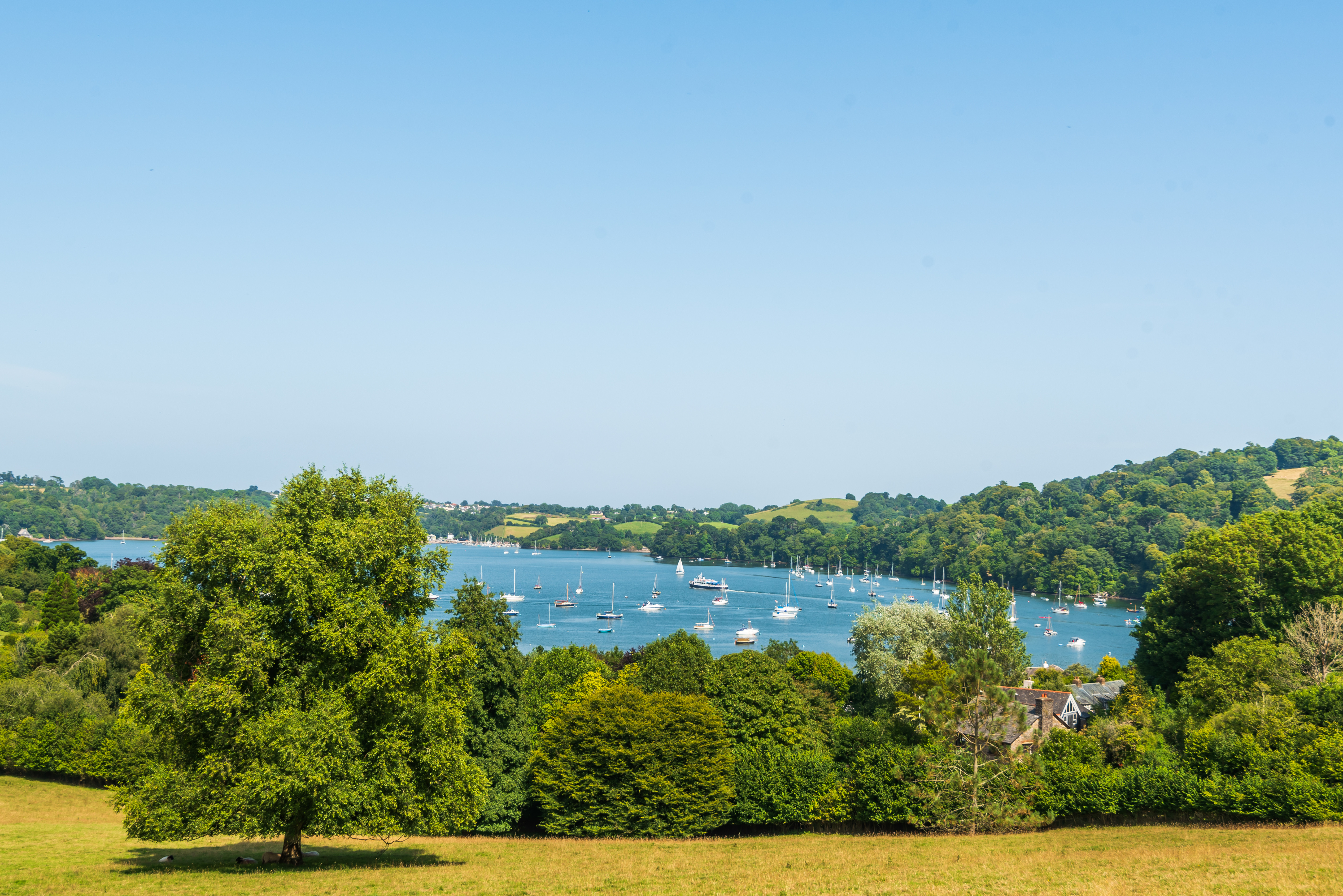 Views towards the River Dart from local footpath