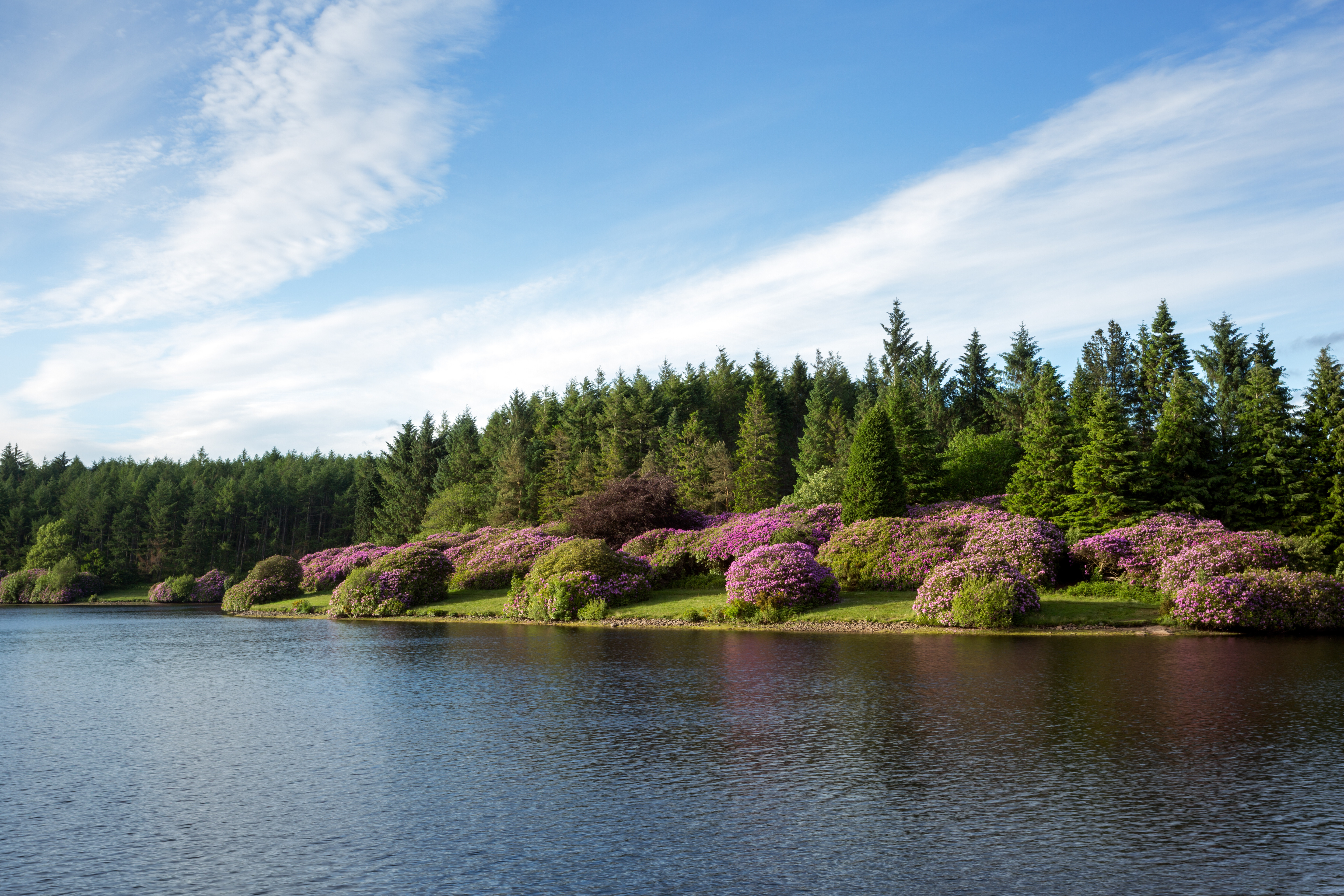Kennick Reservoir, Dartmoor can be found approx. 9 miles away.