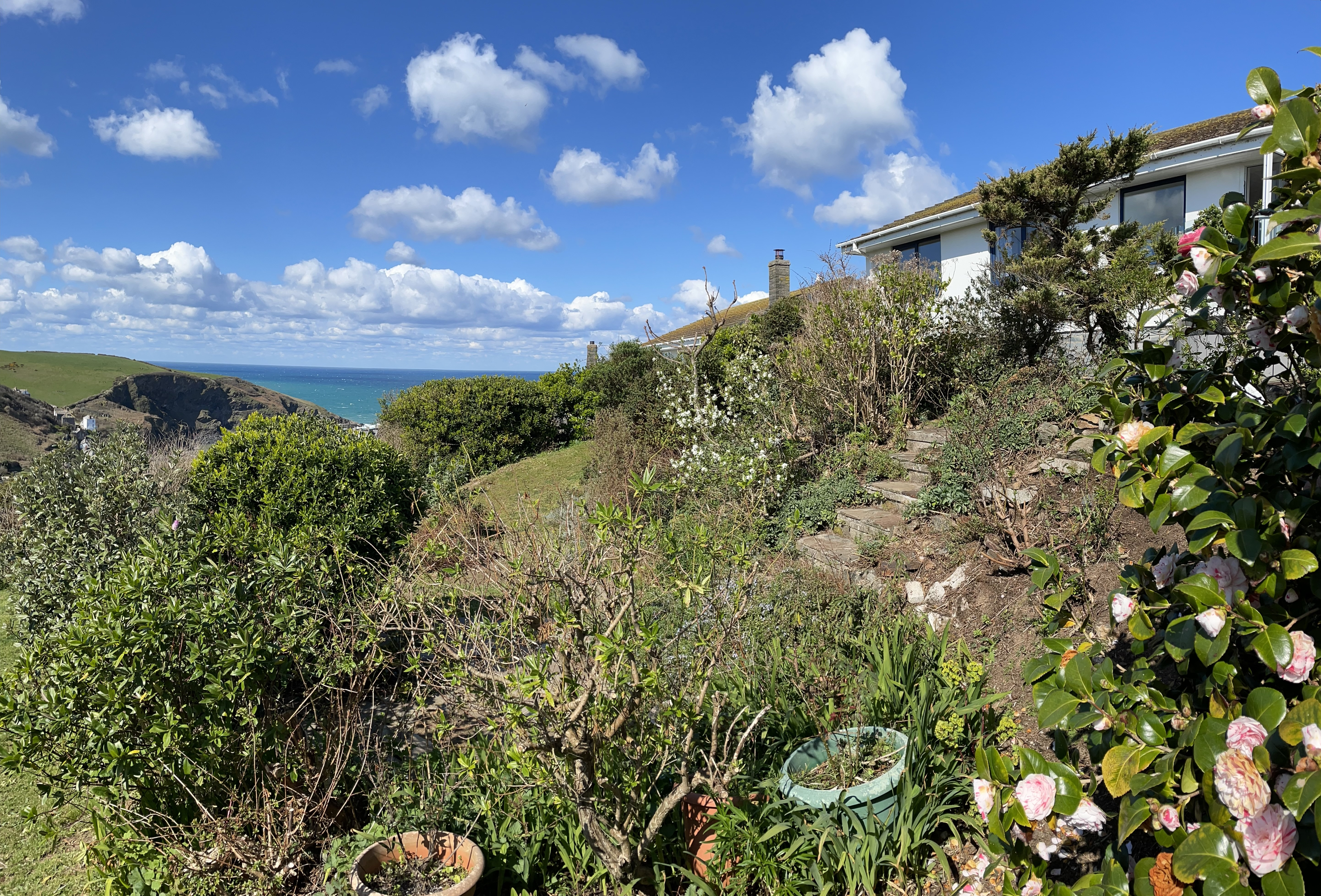 Shellseekers Garden