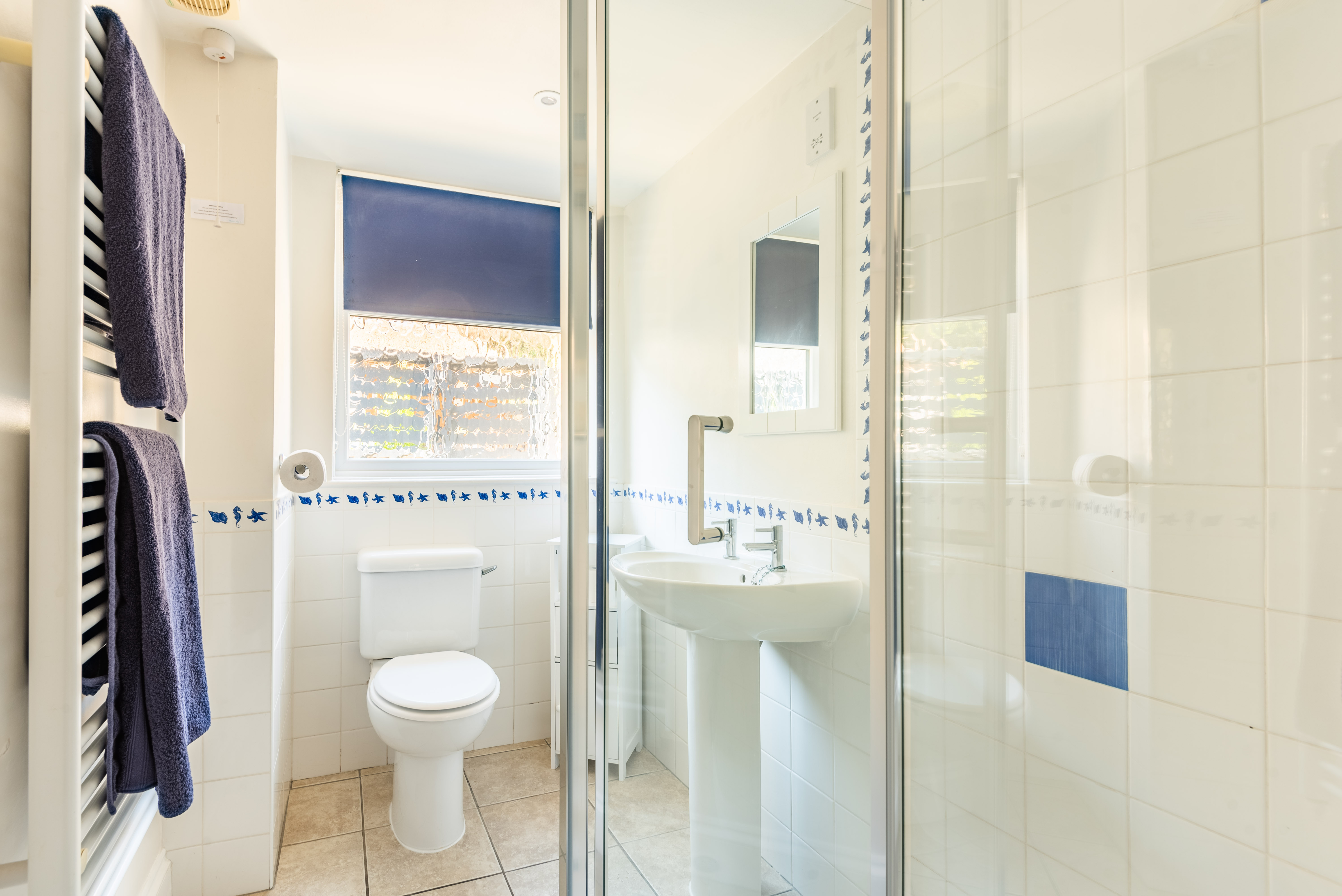 The shower room