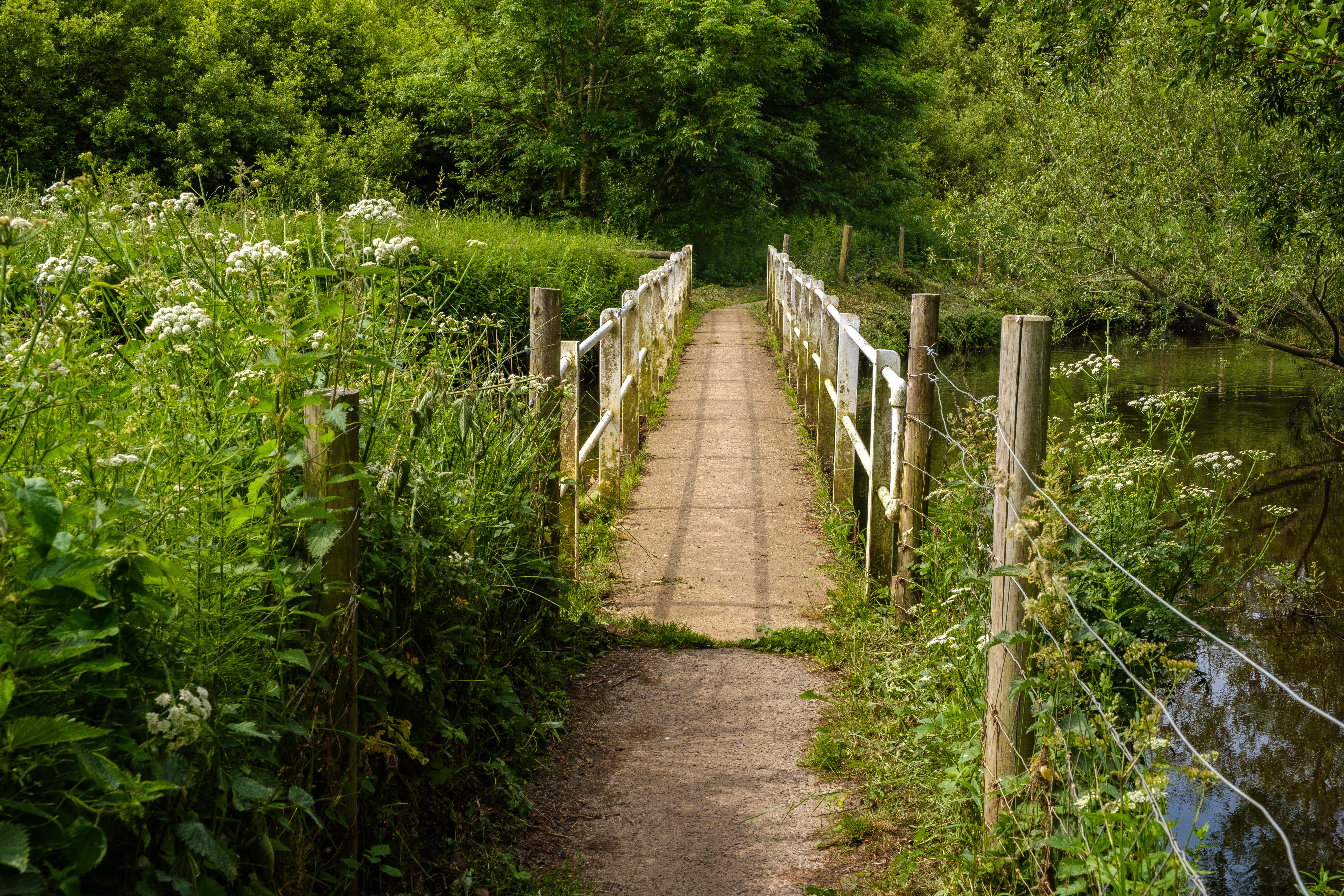 Property image 27 for THCA189