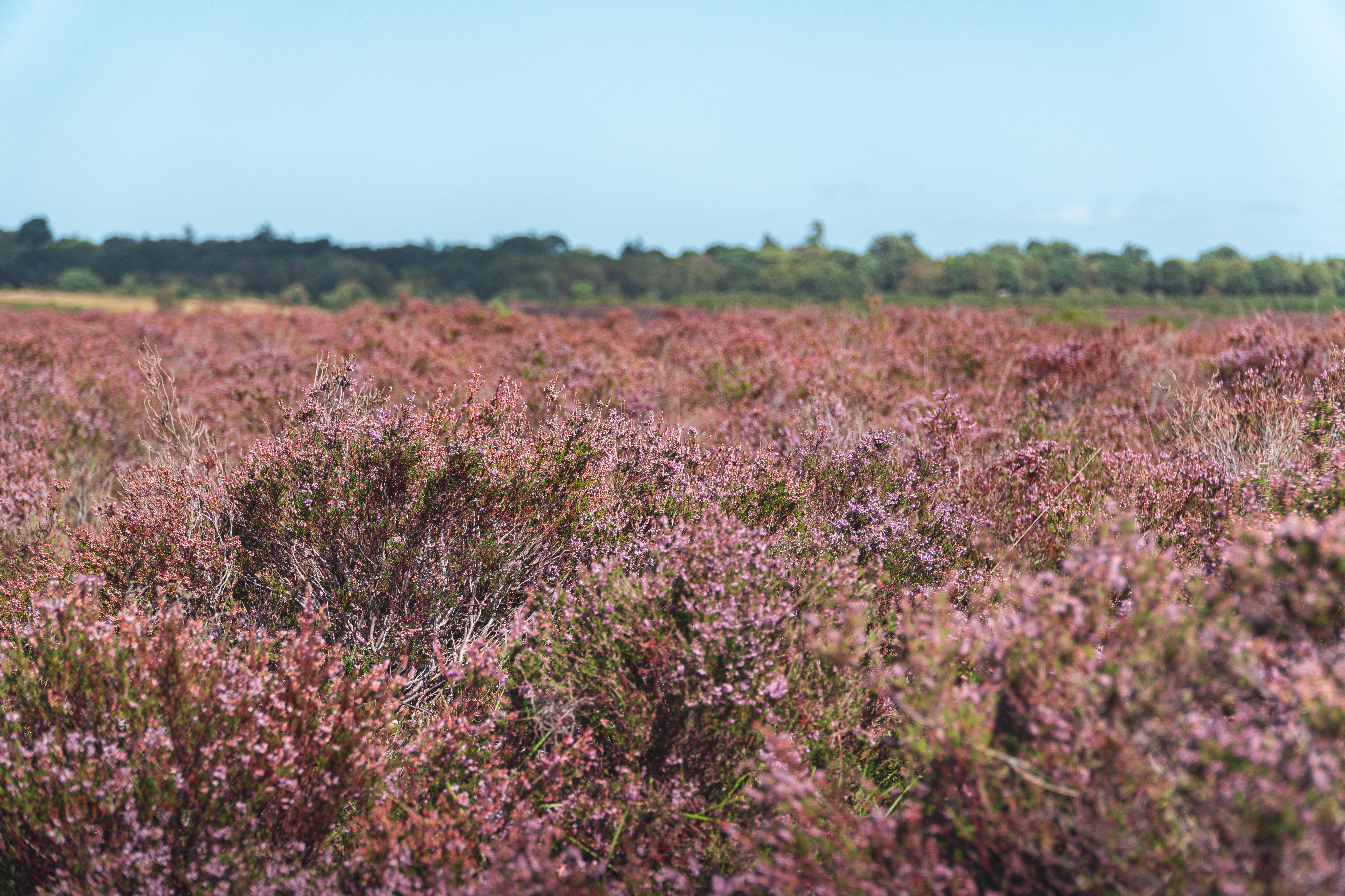 Property image 28 for THCA189