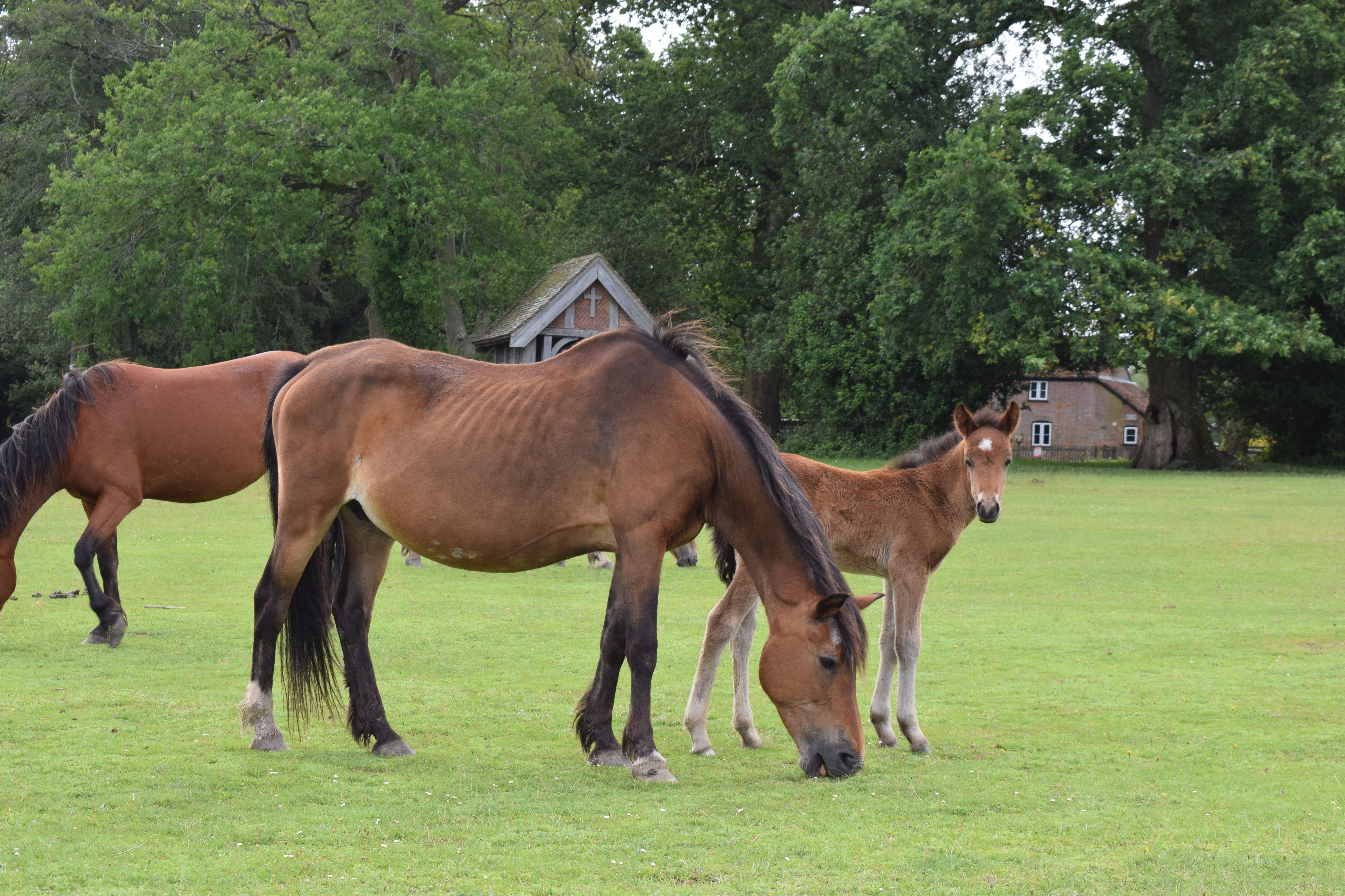 Property image 29 for THCA927