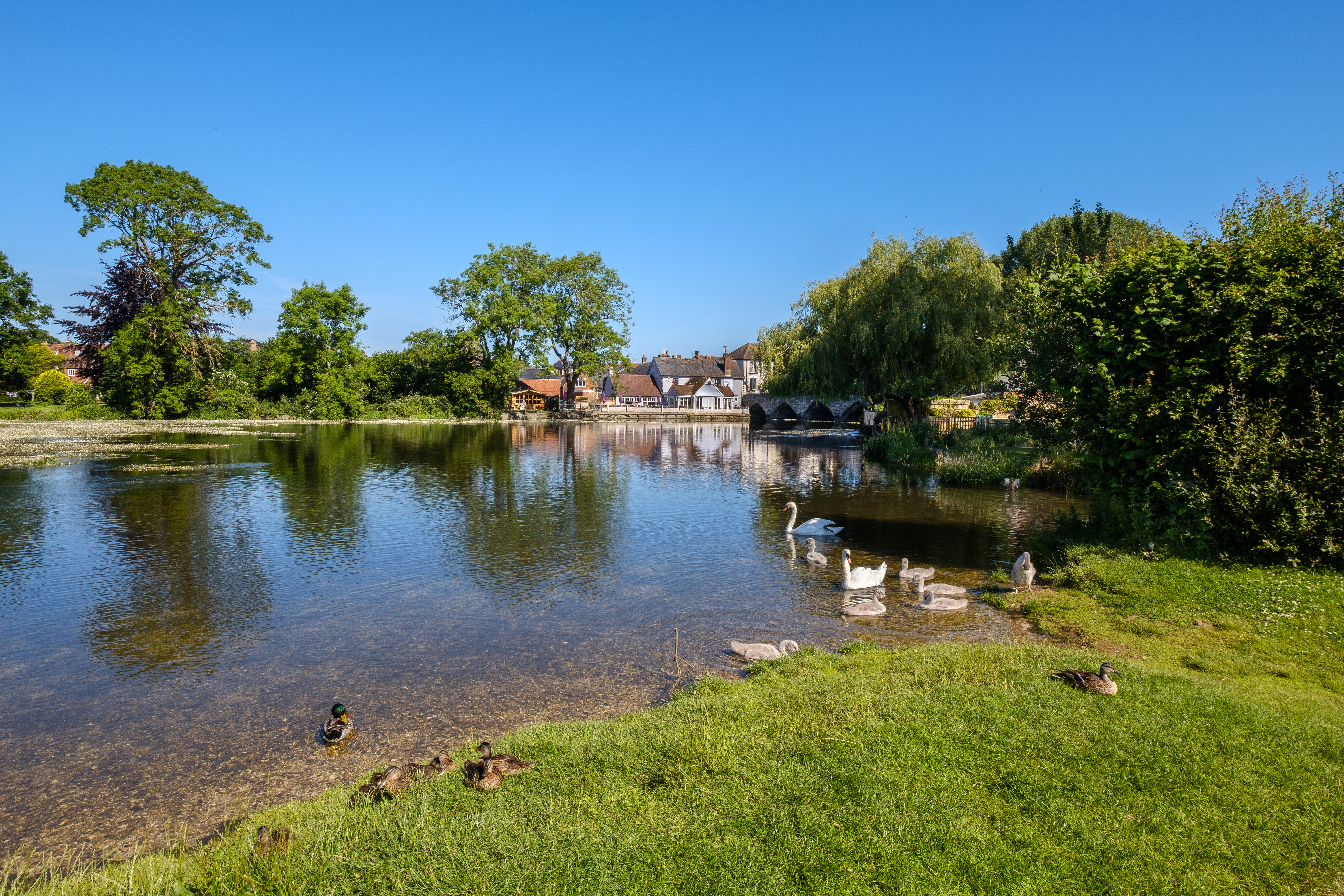 Property image 28 for THCA848