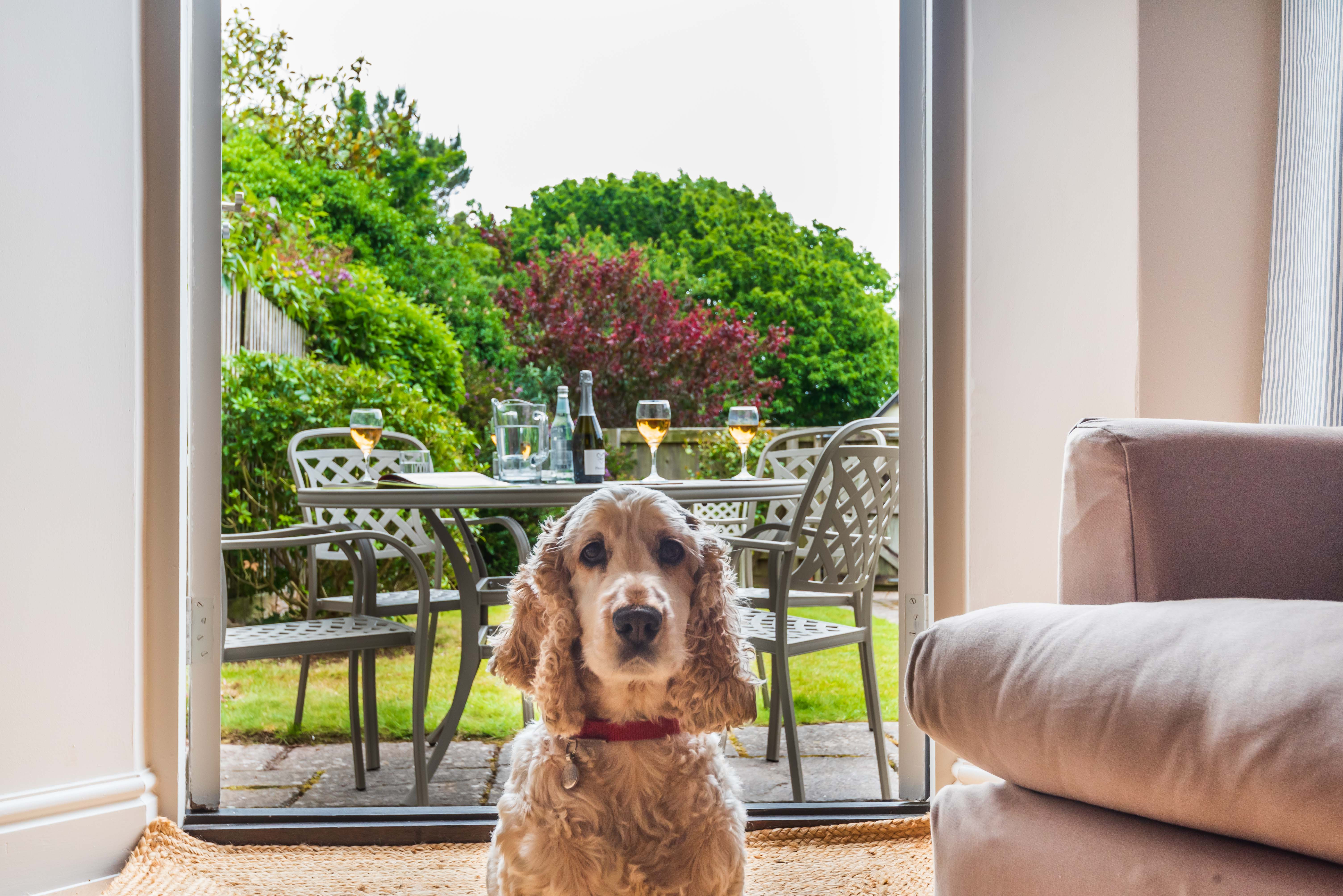 Property image 4 for THCROCKYS