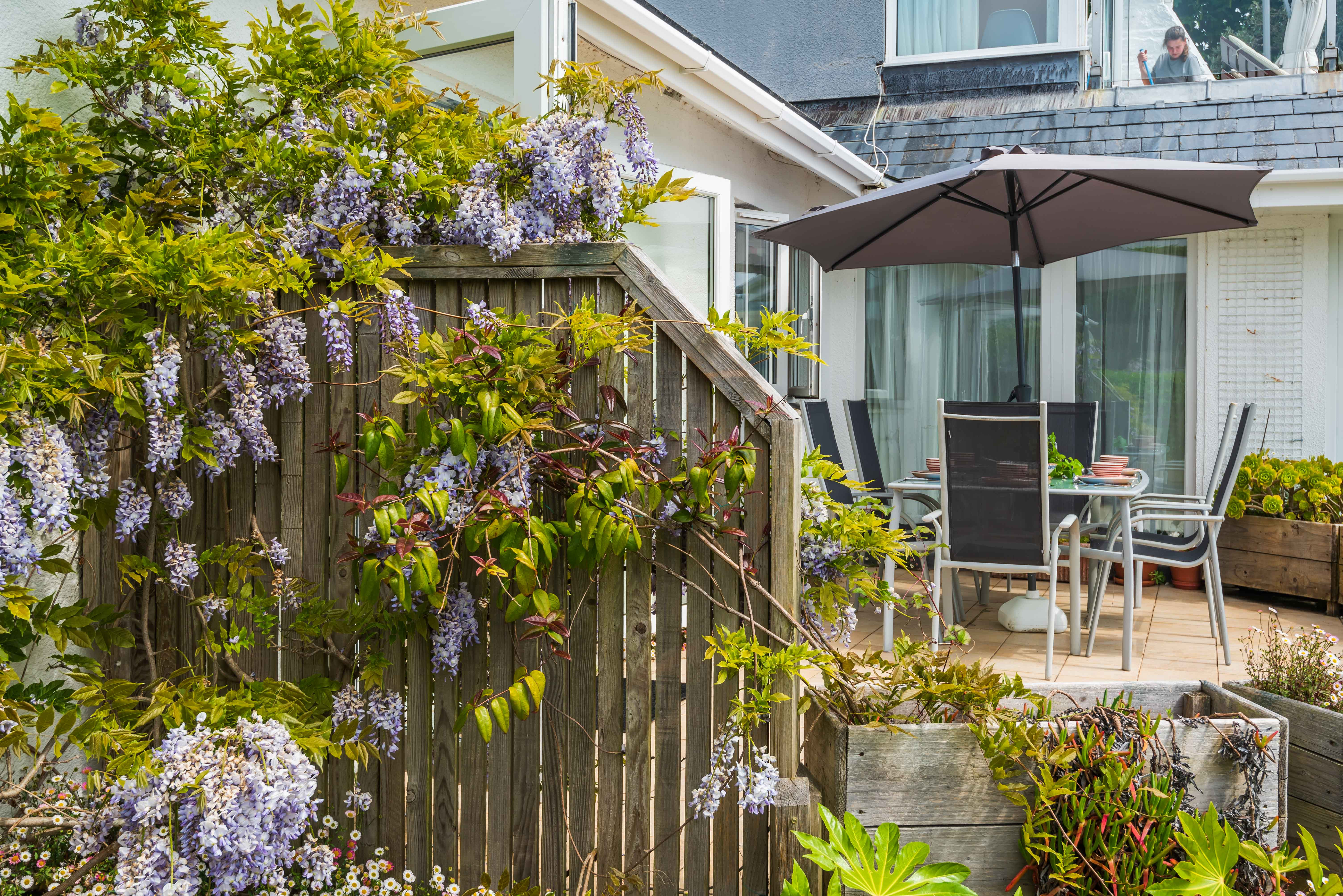 Property image 4 for THCDEM2