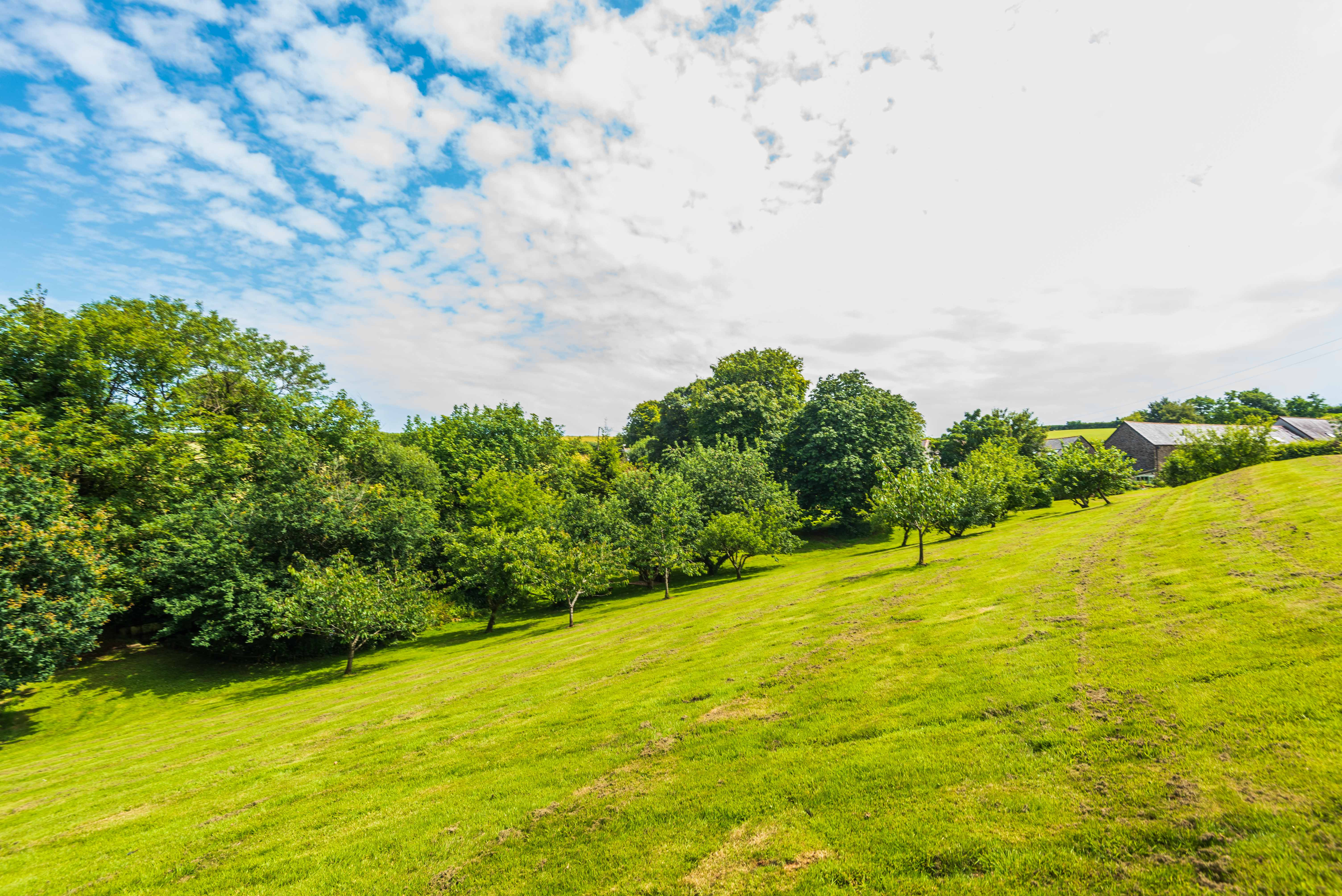 Plenty of freedom and tranquility 