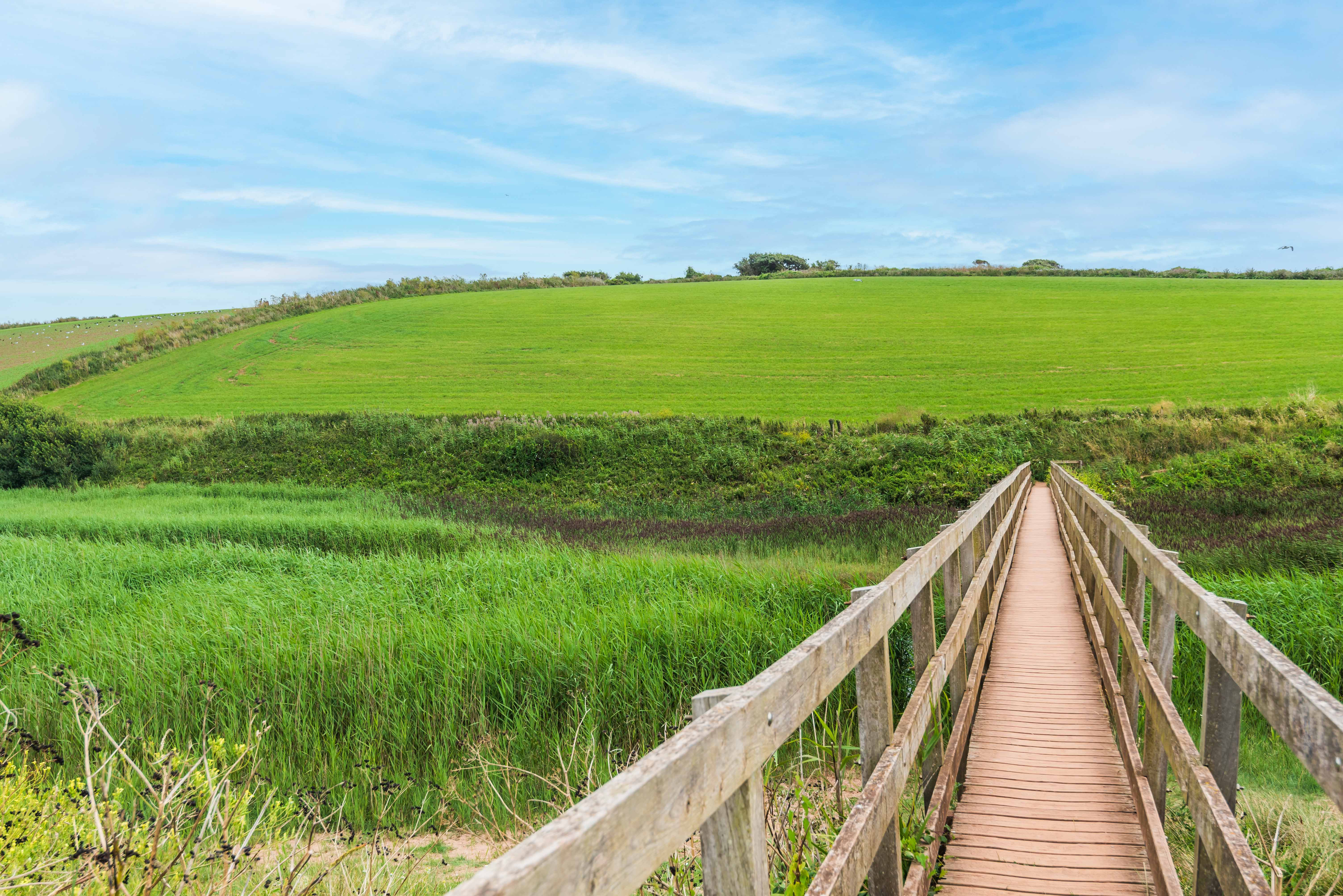 Property image 39 for THCBAYTC