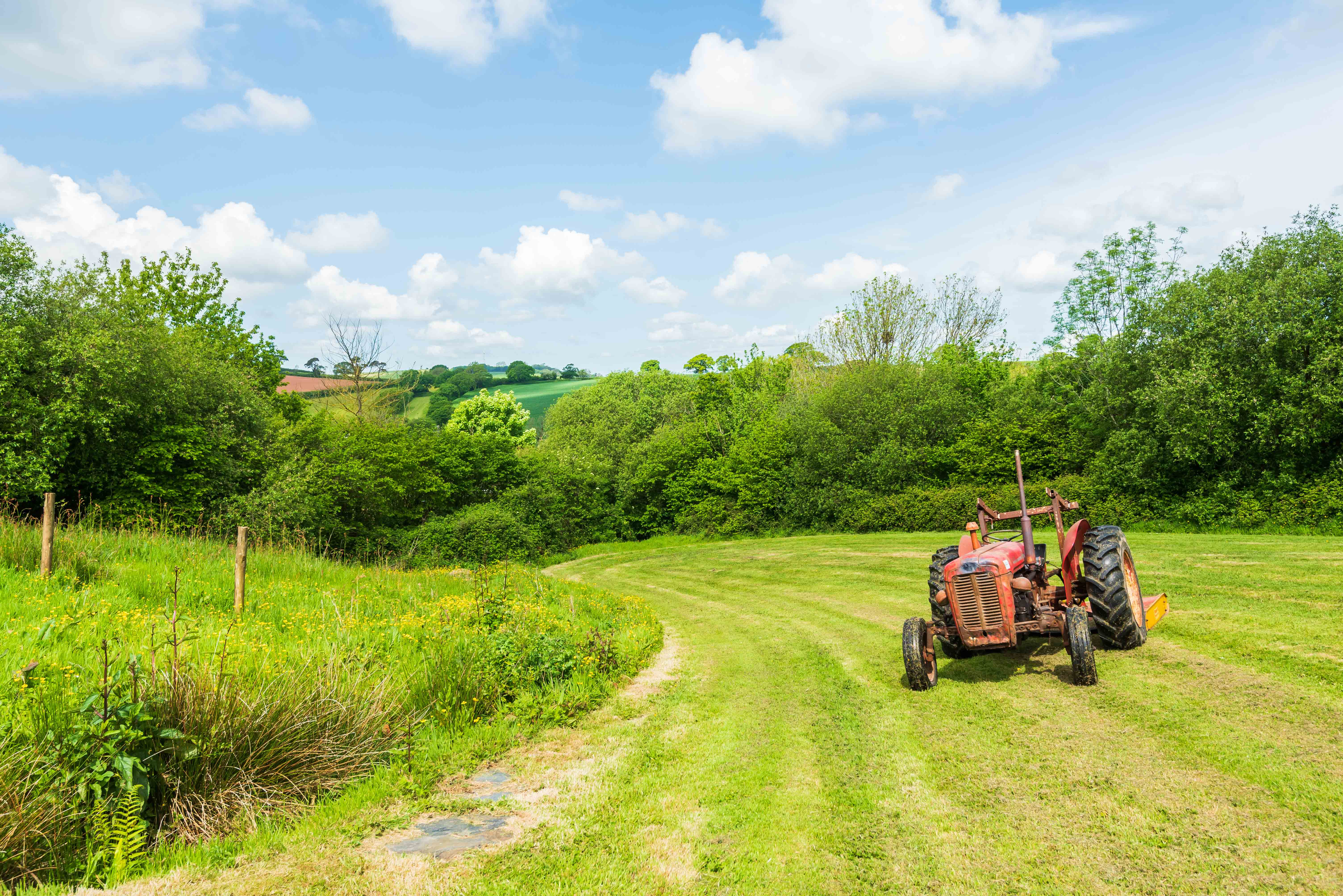 Property image 33 for THCCHATW