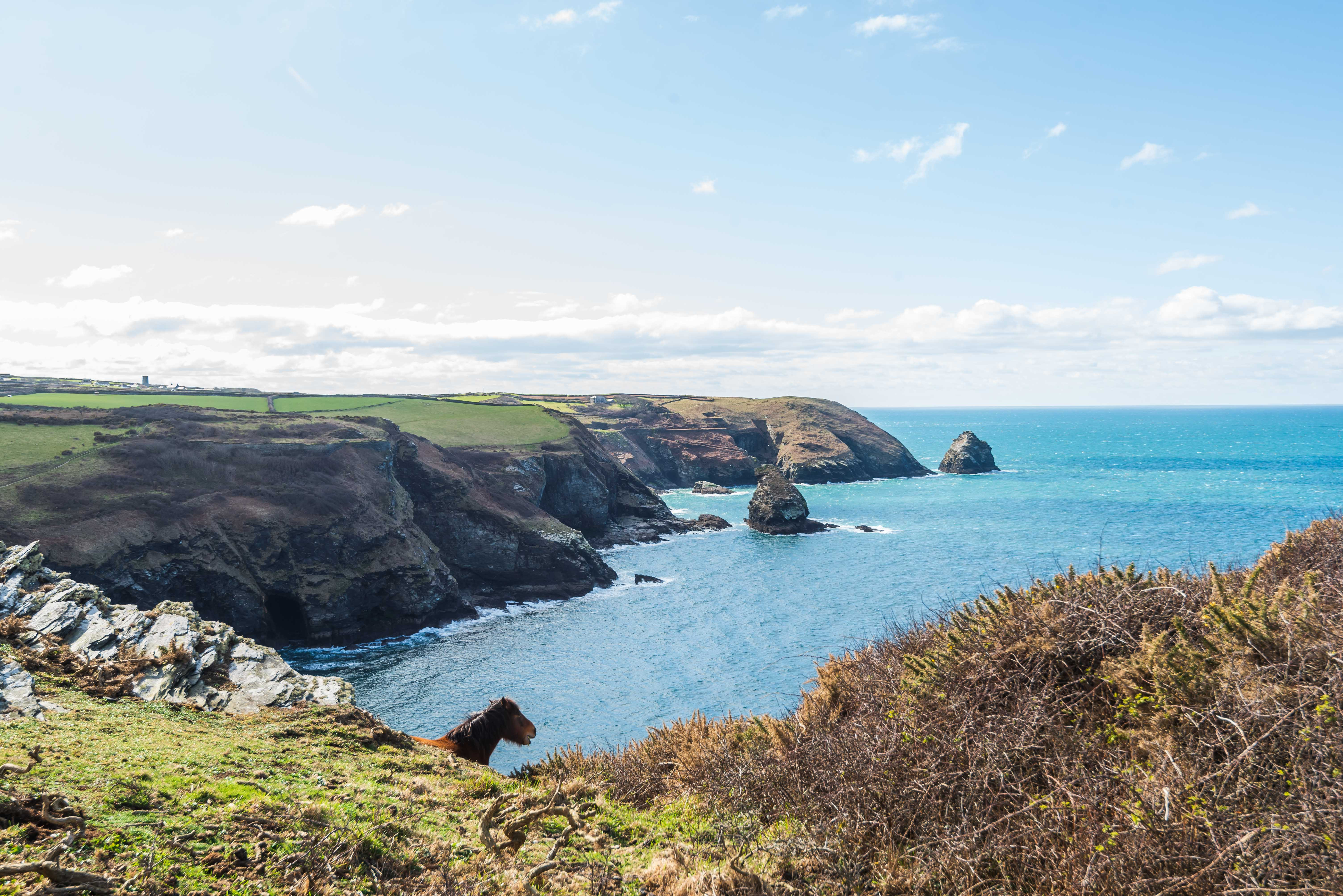 Property image 44 for THCWESTER