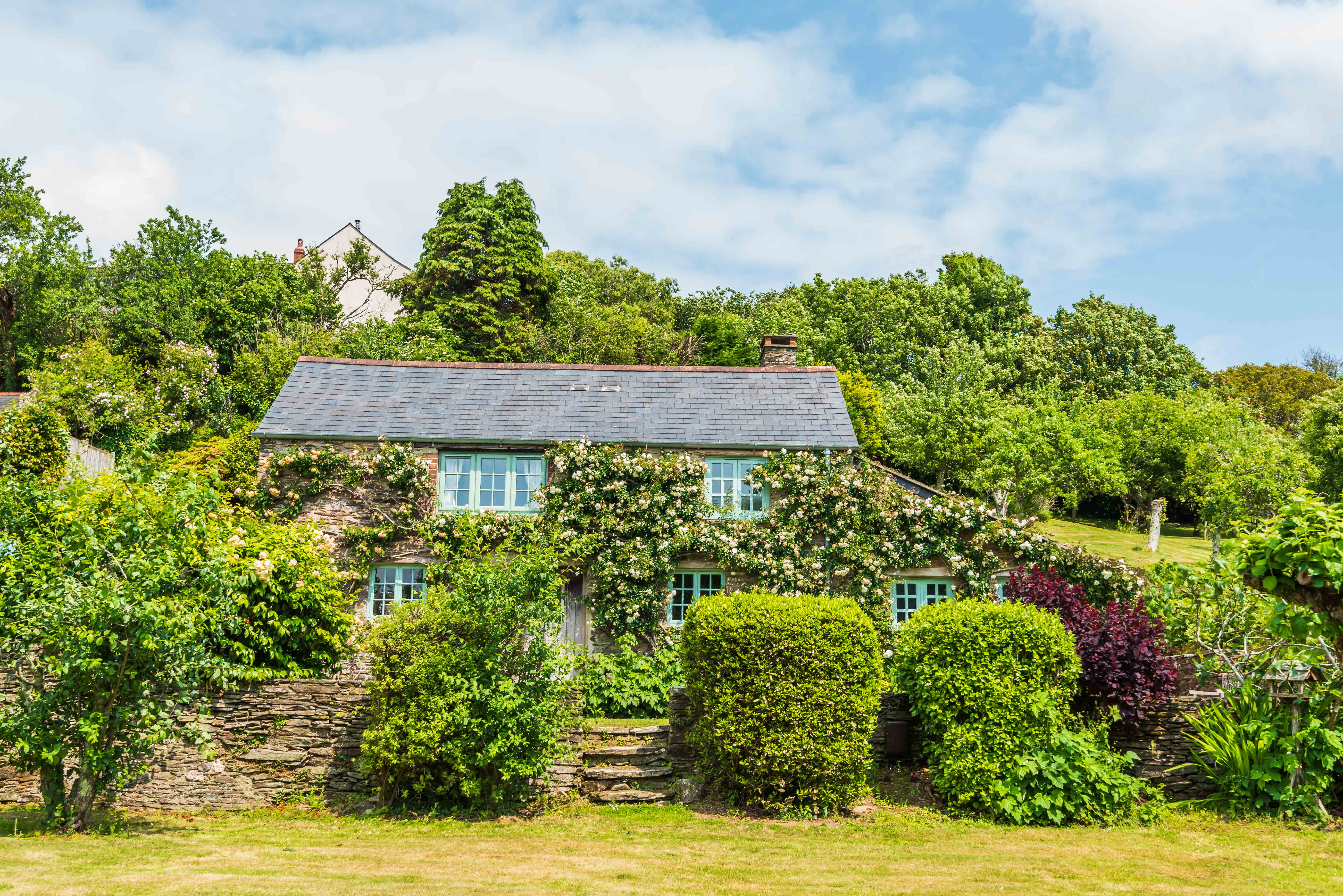 Property image 36 for THCNUCK