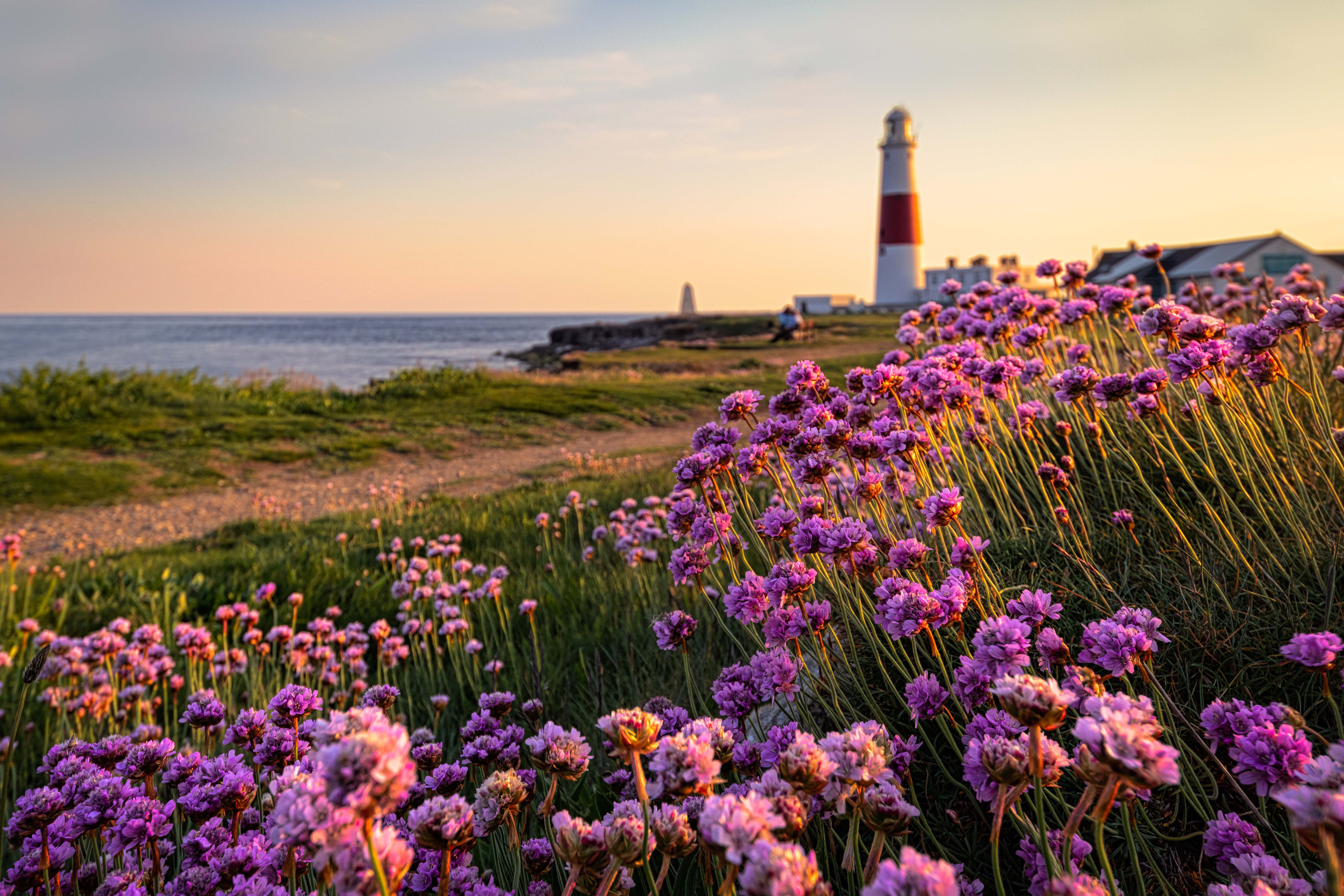 Property image 29 for THCDOVEC