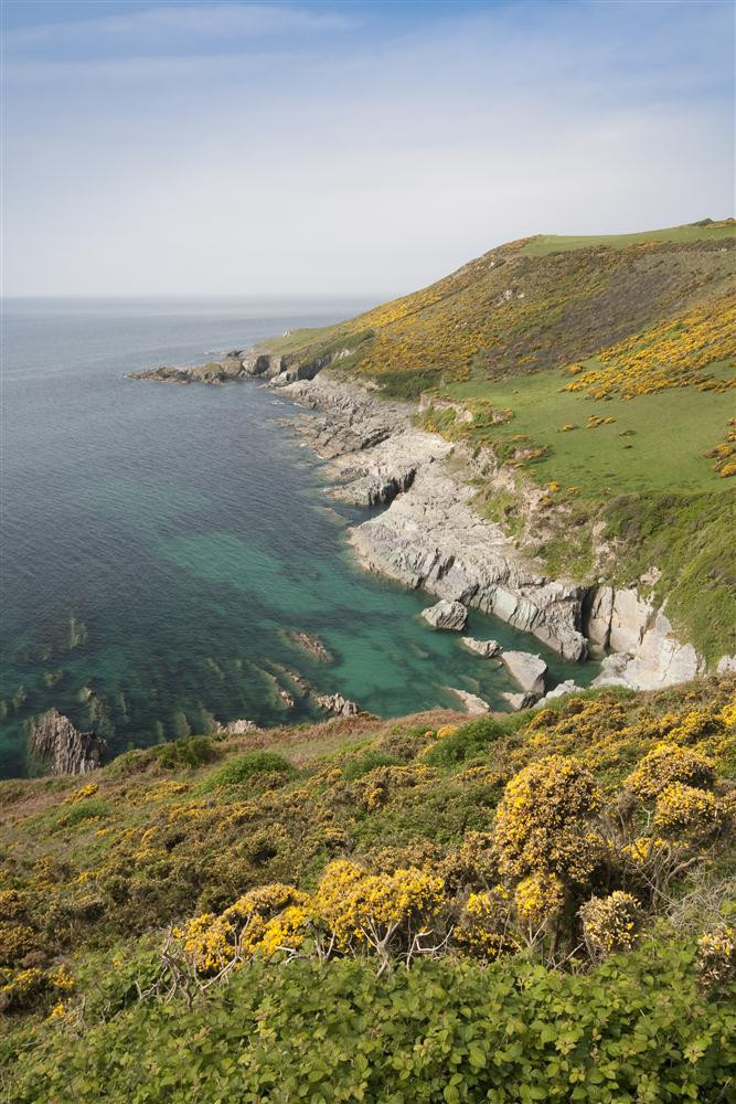 Delightful Wembury coastline views.