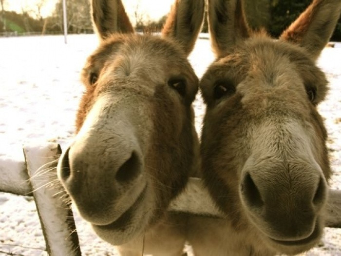 Property image 73 for THCOSCAPT