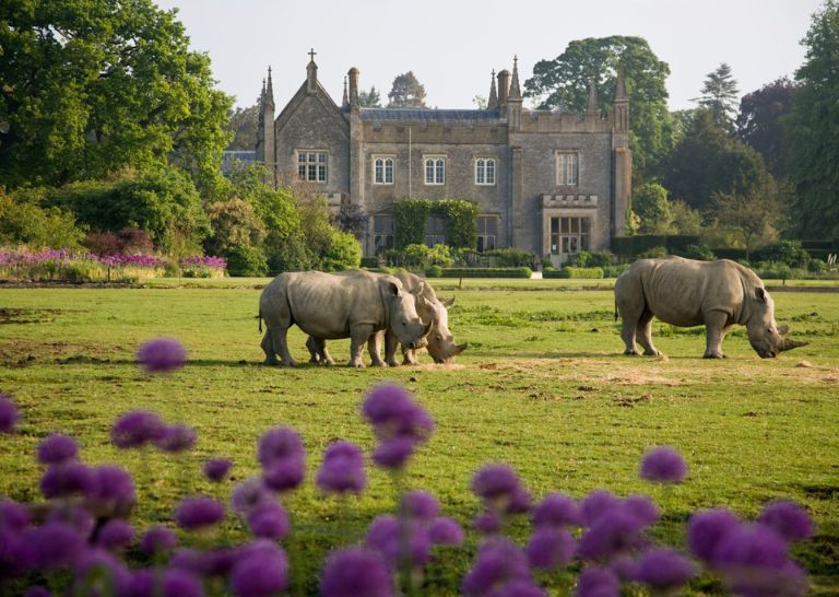 Property image 51 for THCBROLO