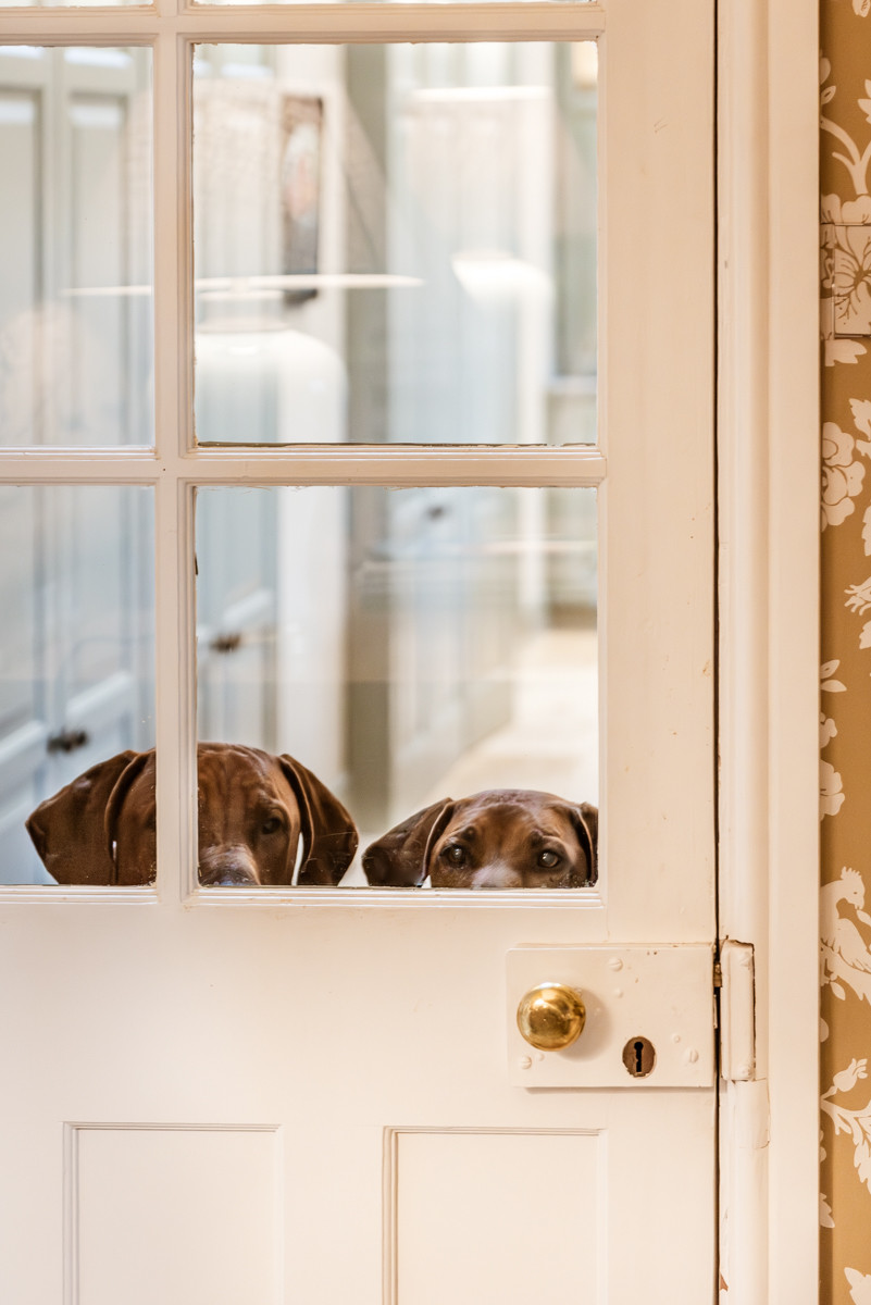 Property image 10 for THCBROLO