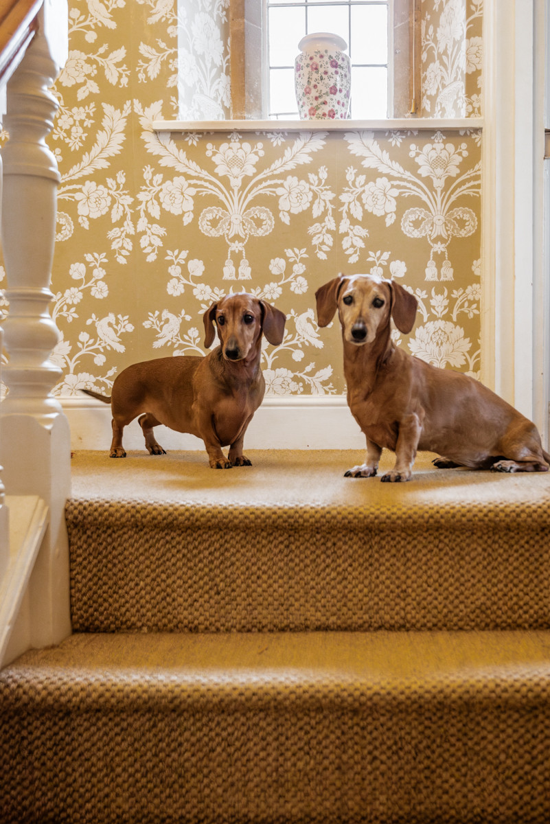 Property image 29 for THCBROLO