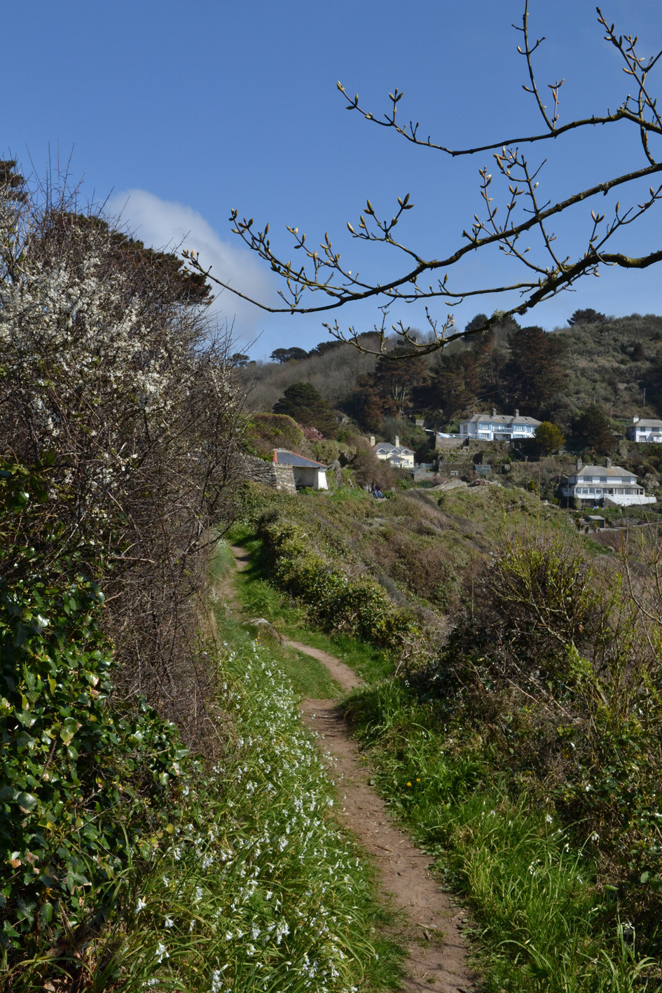 South West Coast Path Polperro - Looe