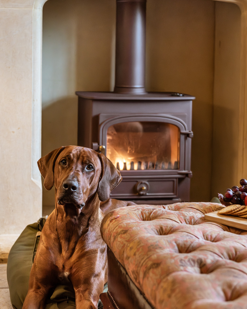 Property image 9 for THCBROLO